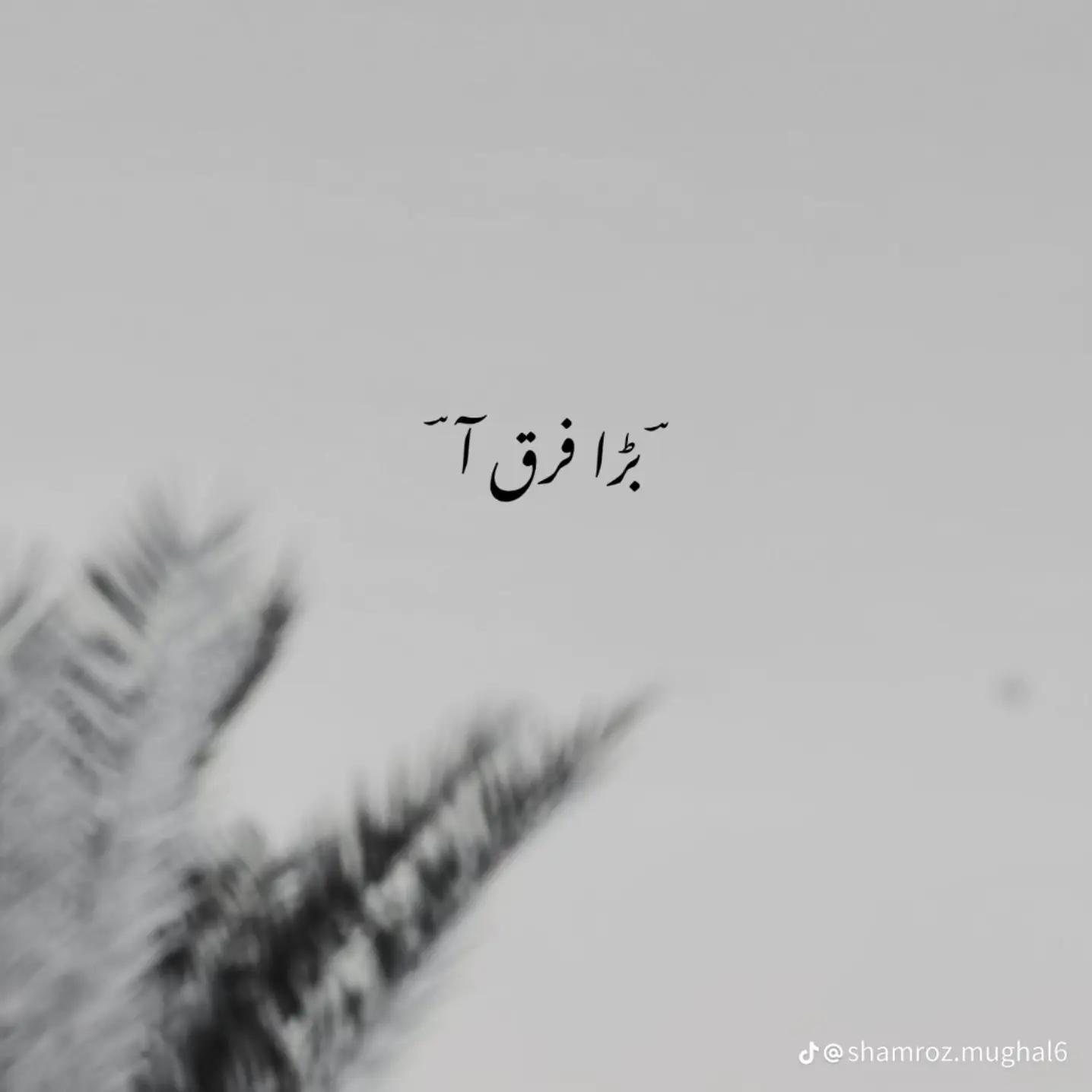 @jutt