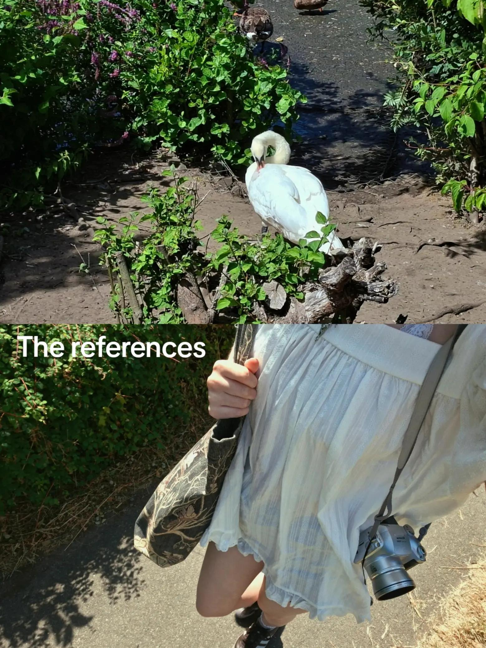 @𝓛𝓮𝓪𝓱𝓬𝓪𝓷𝓽𝓱𝓻𝓸𝓹𝔂