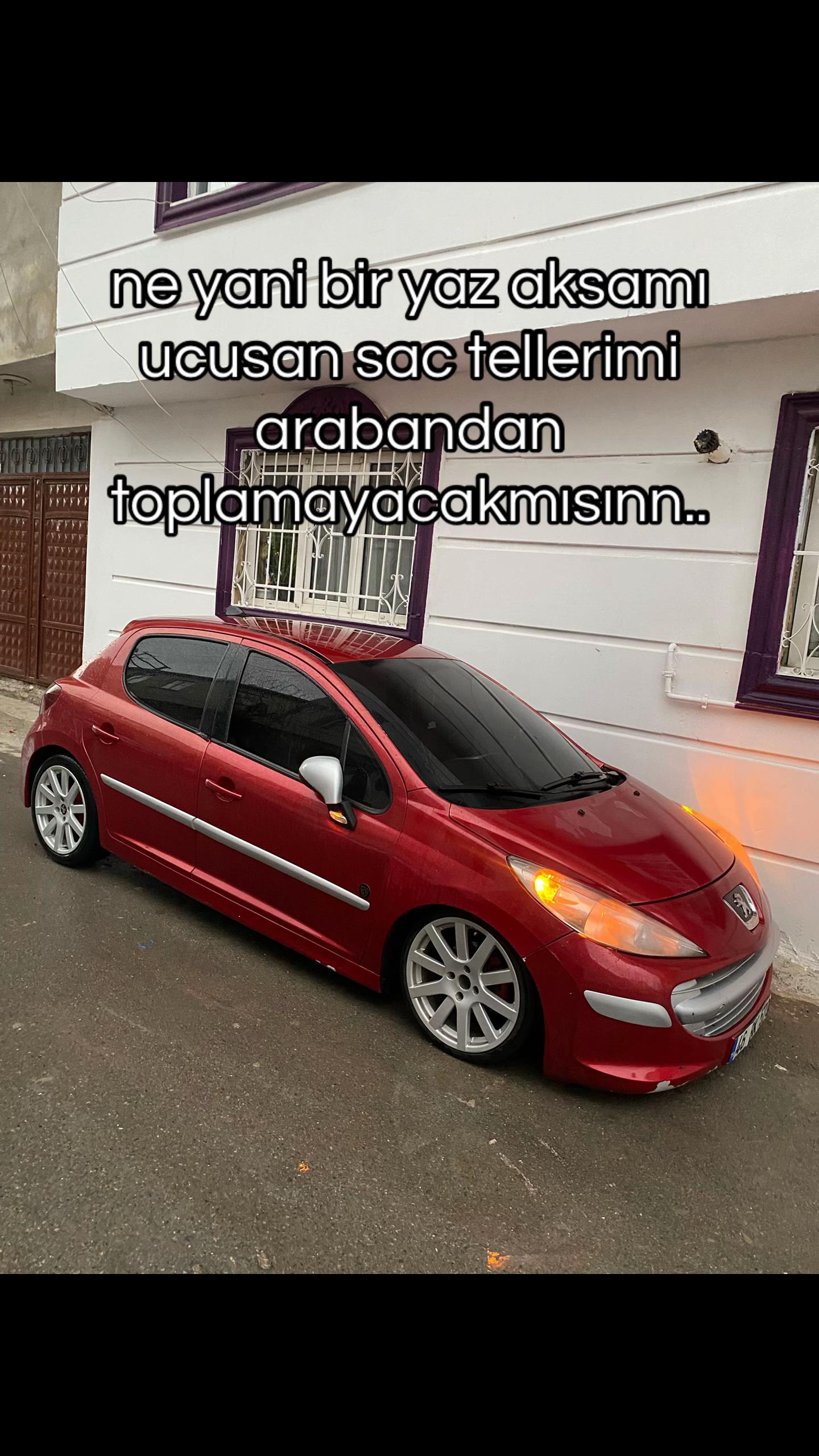 @🦭