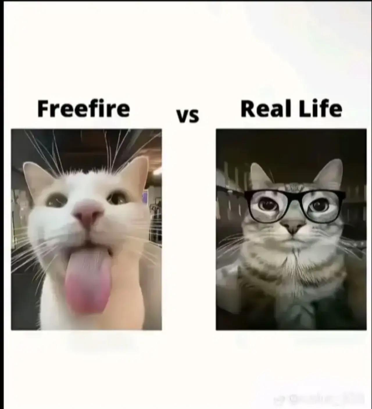 @ไอ่เนⓂ️