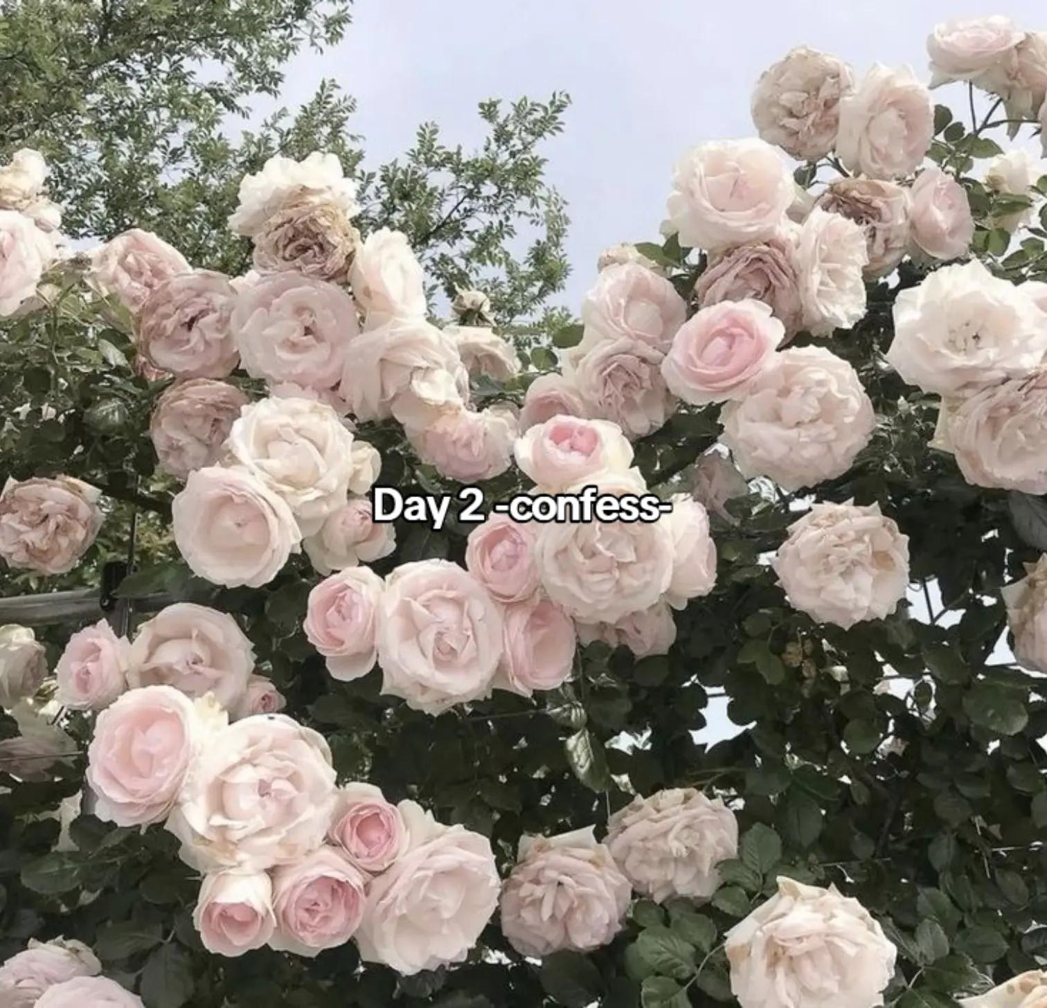 @Skyzy A.