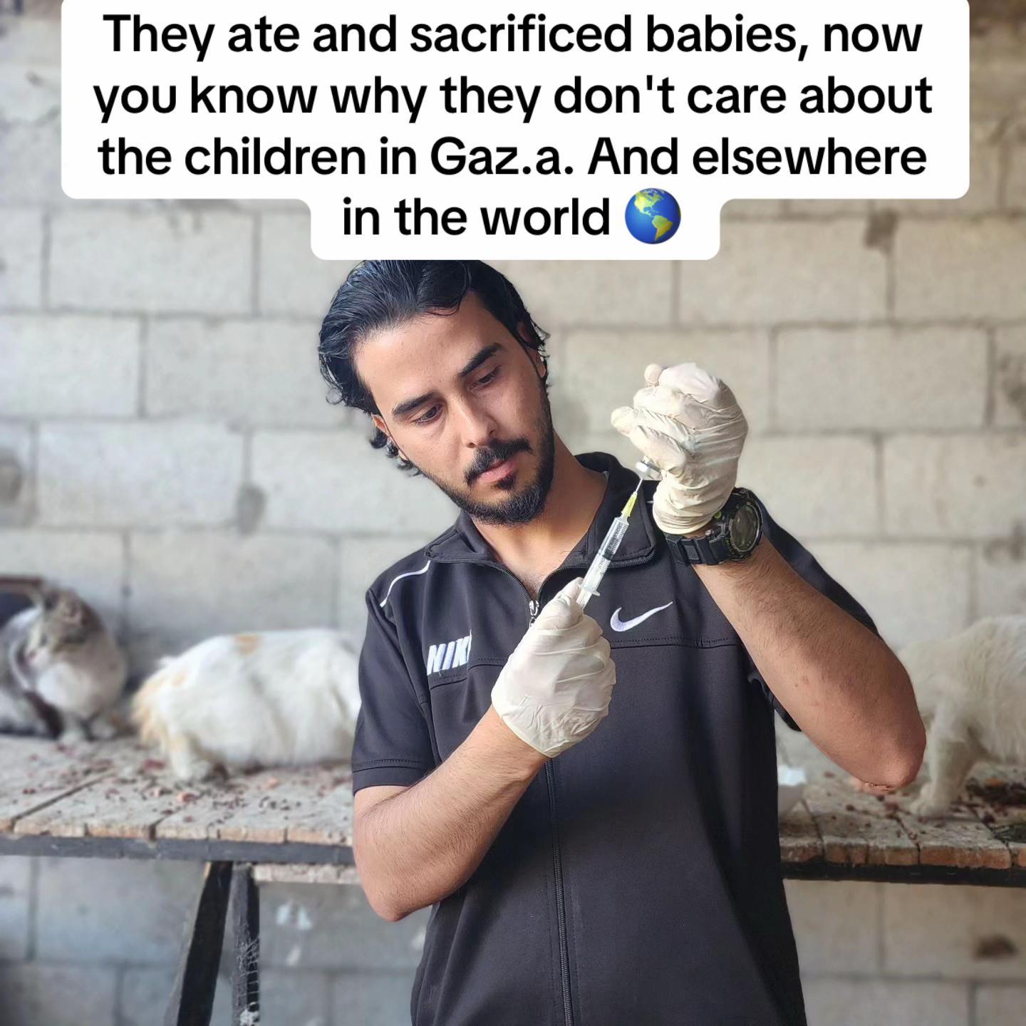 @Gaza Animal Rescue
