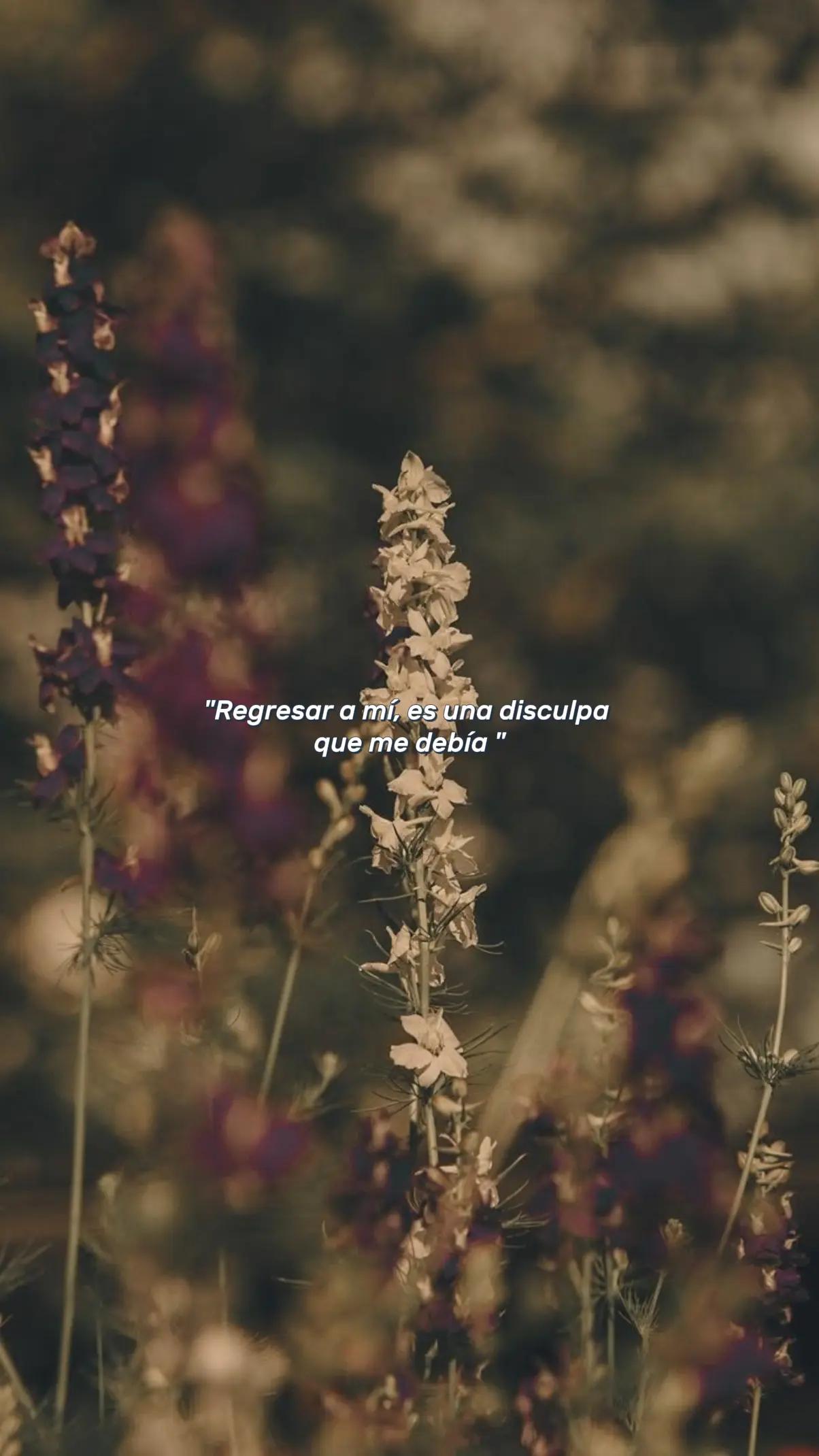 @Jeimy Reyes