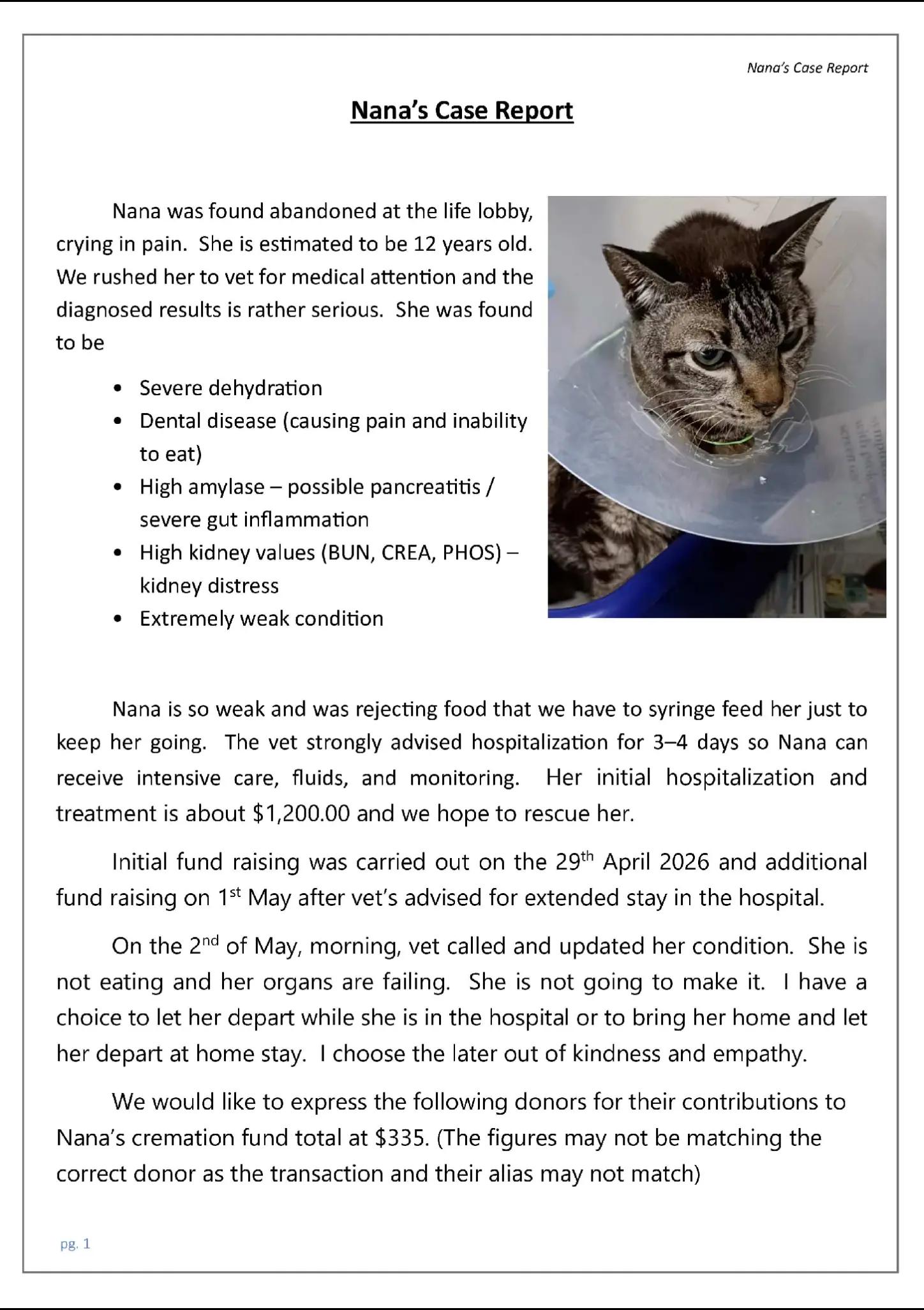 @Rescue Meows 🐈
