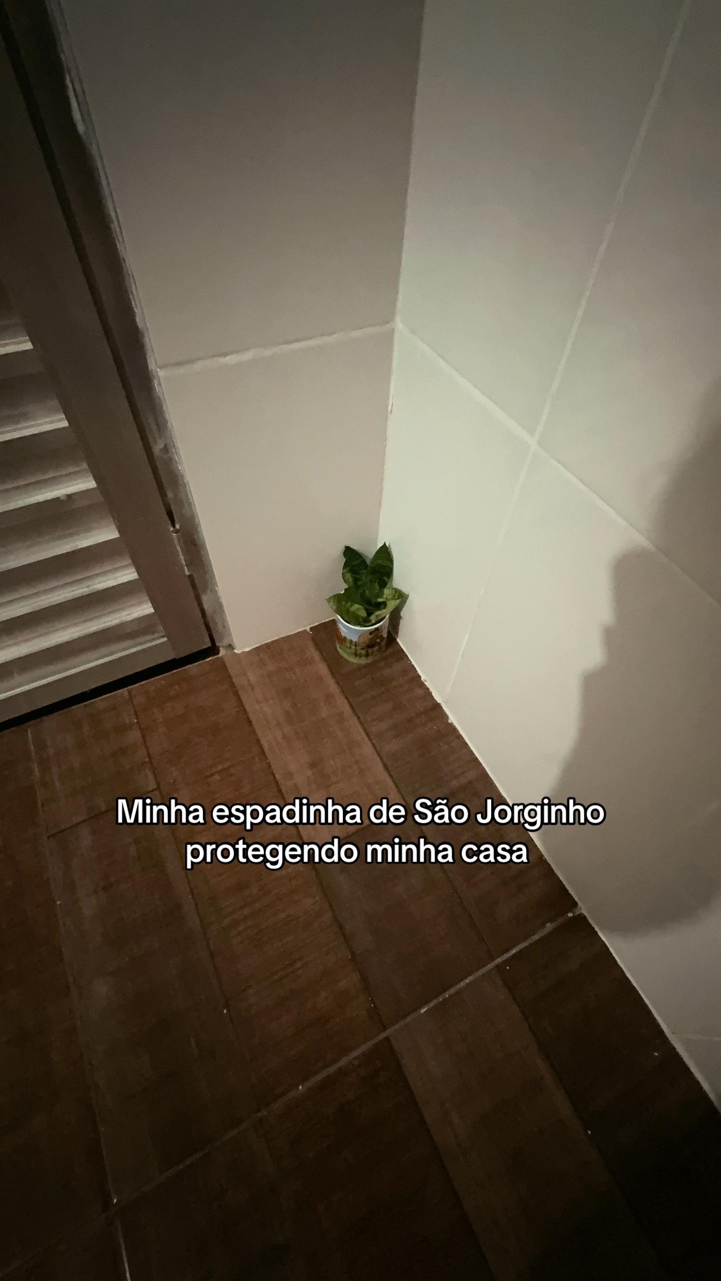@Lorena Nascimento ✨