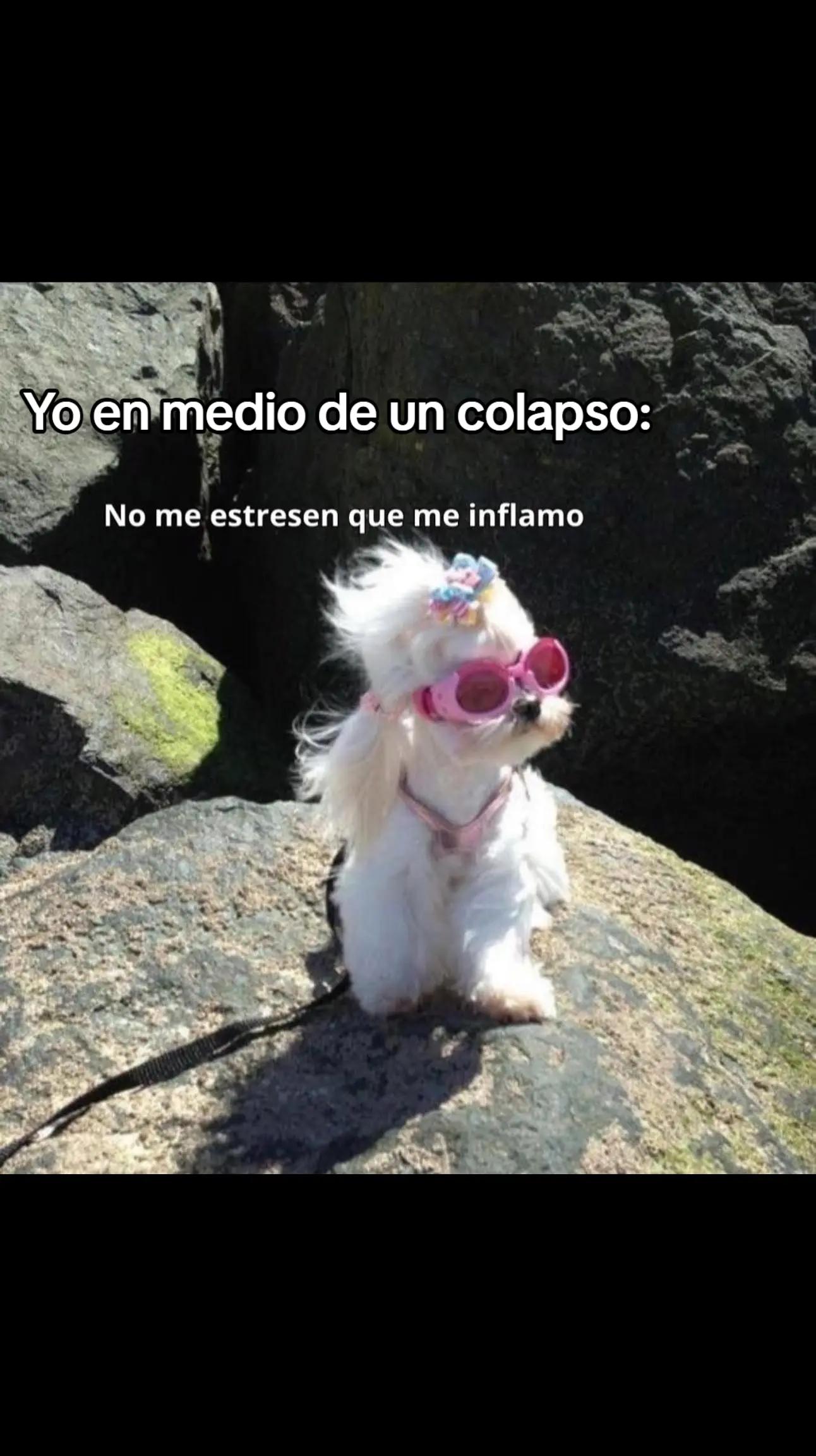 @Denisse V