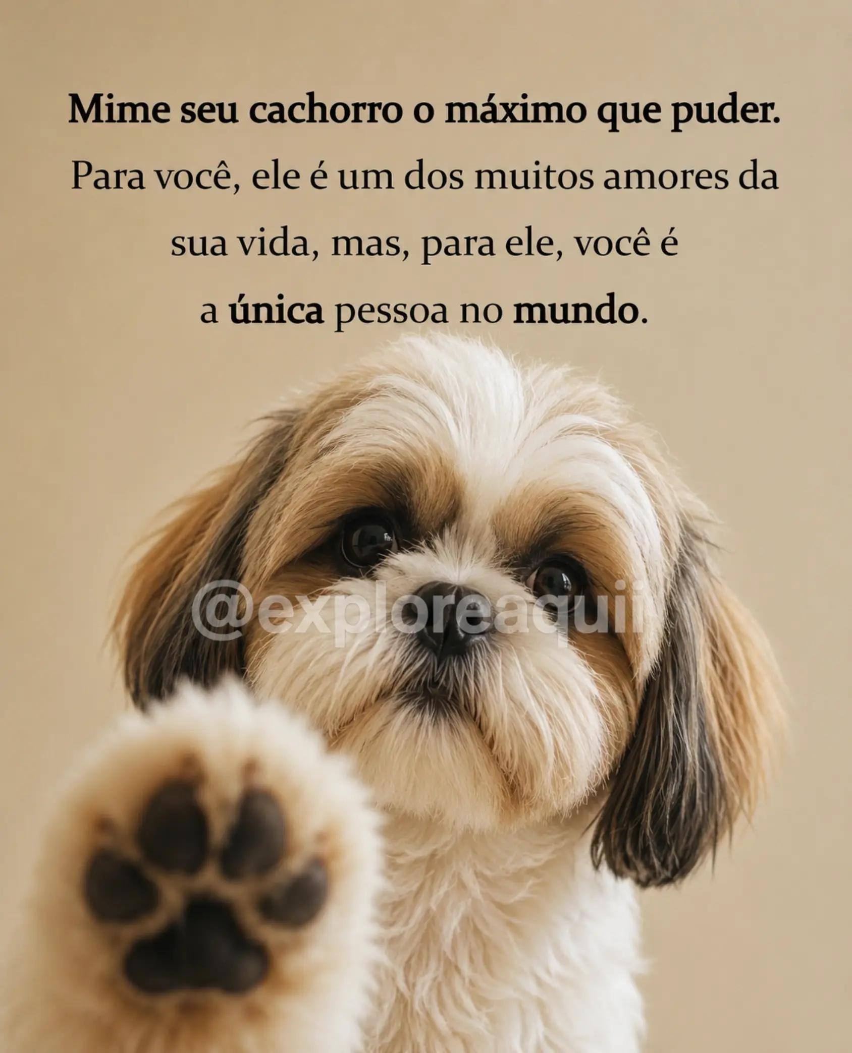 @Explore Aquii 🐾🐾✨️