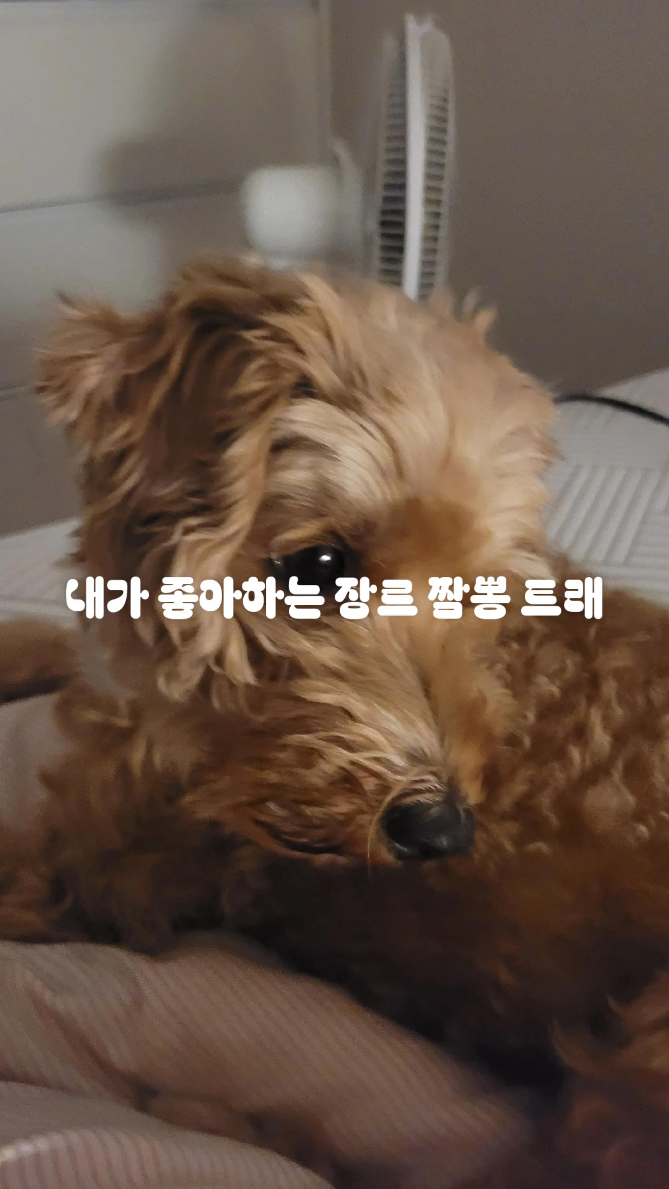 @셋카키 유키(자캐)