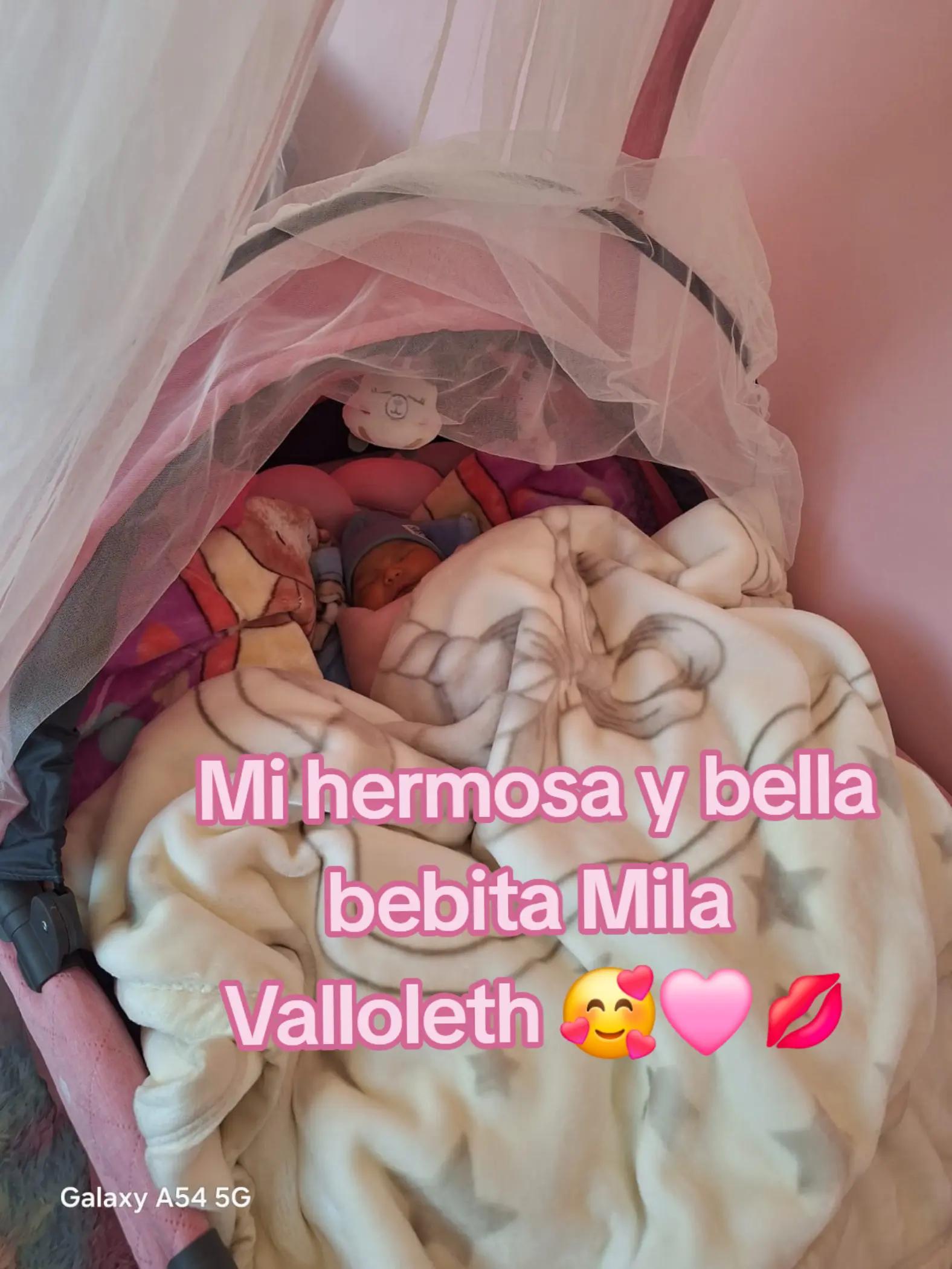 @cecilia