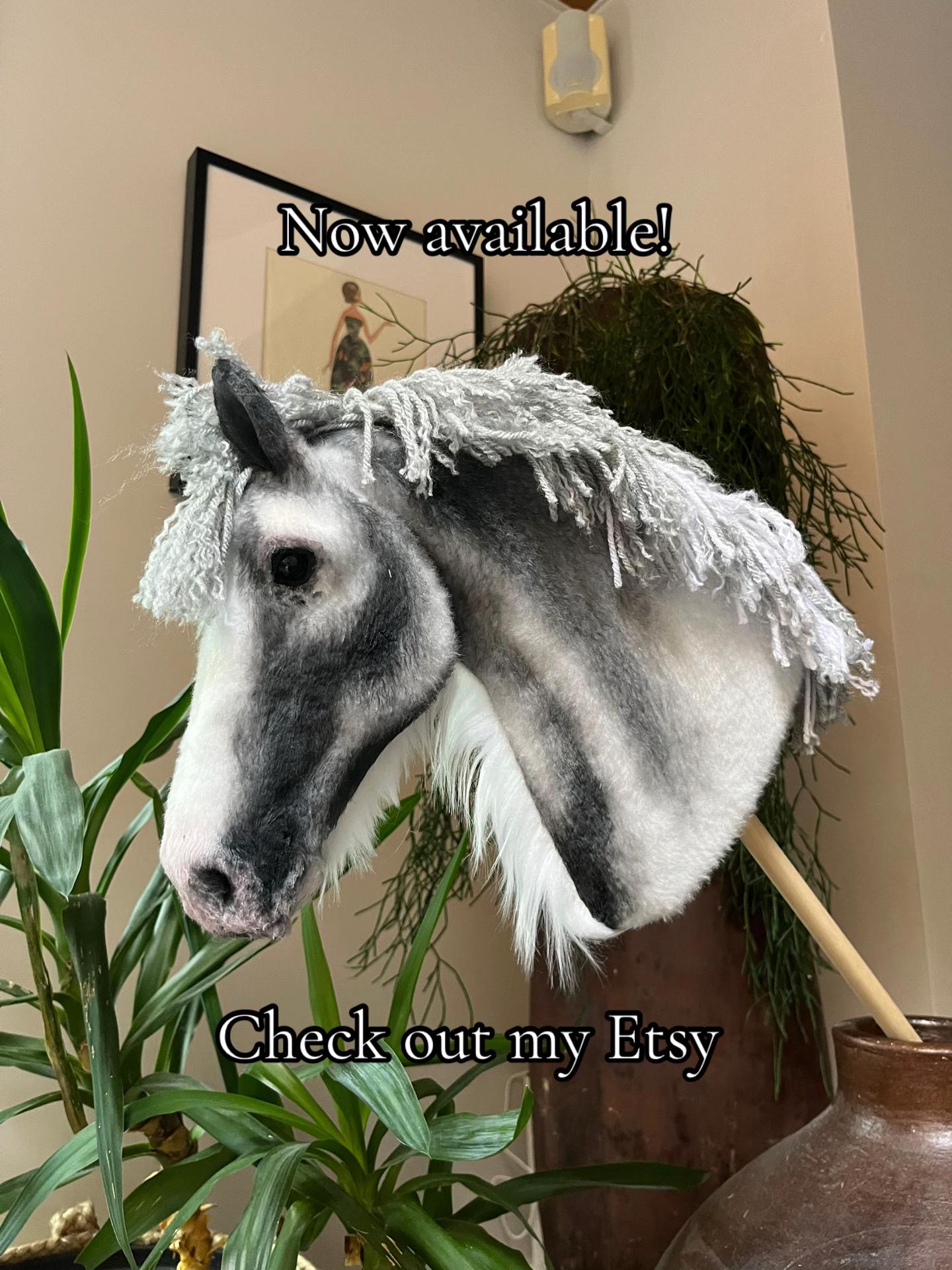@zhobbyhorse