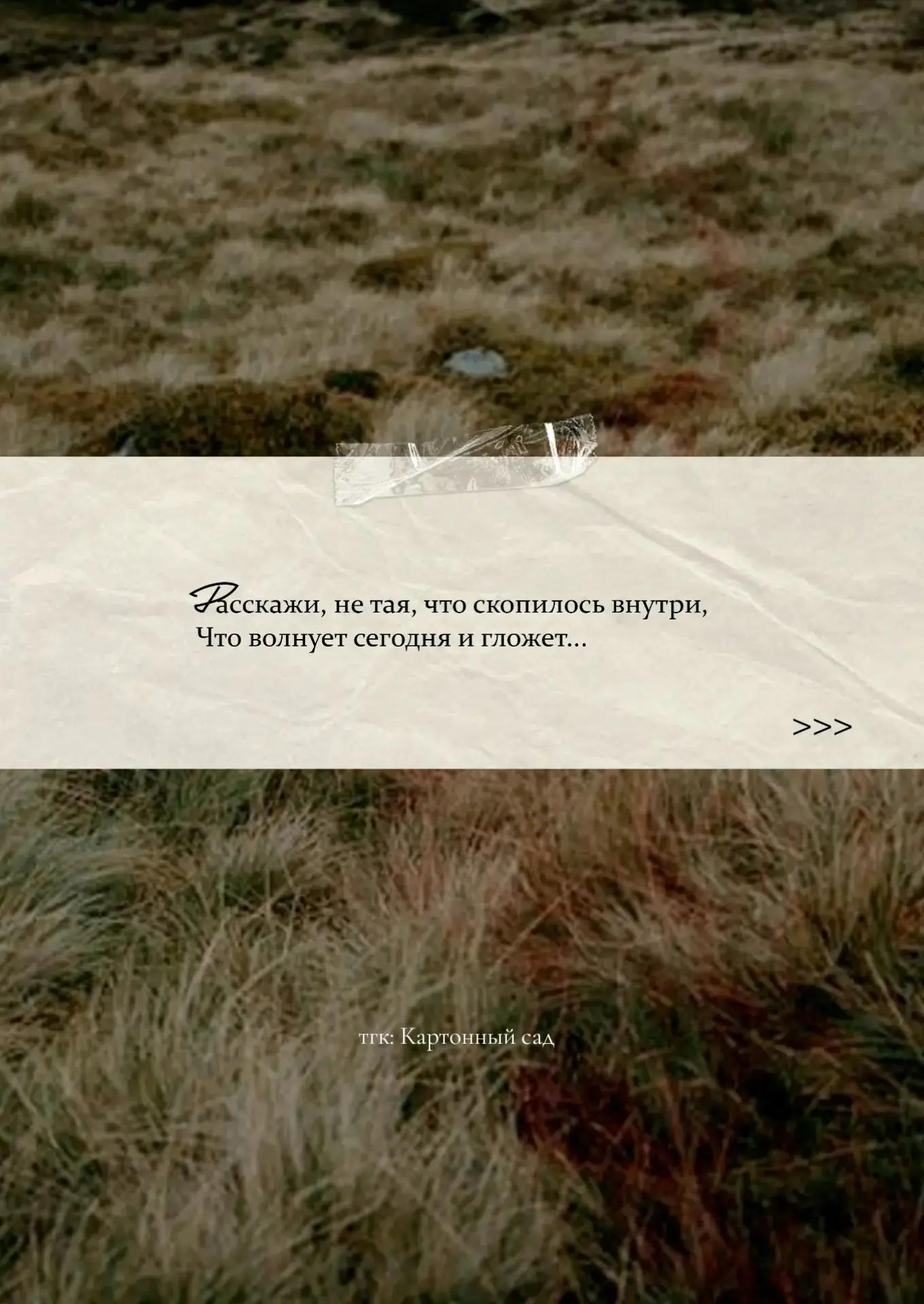 @Полина Матвеева