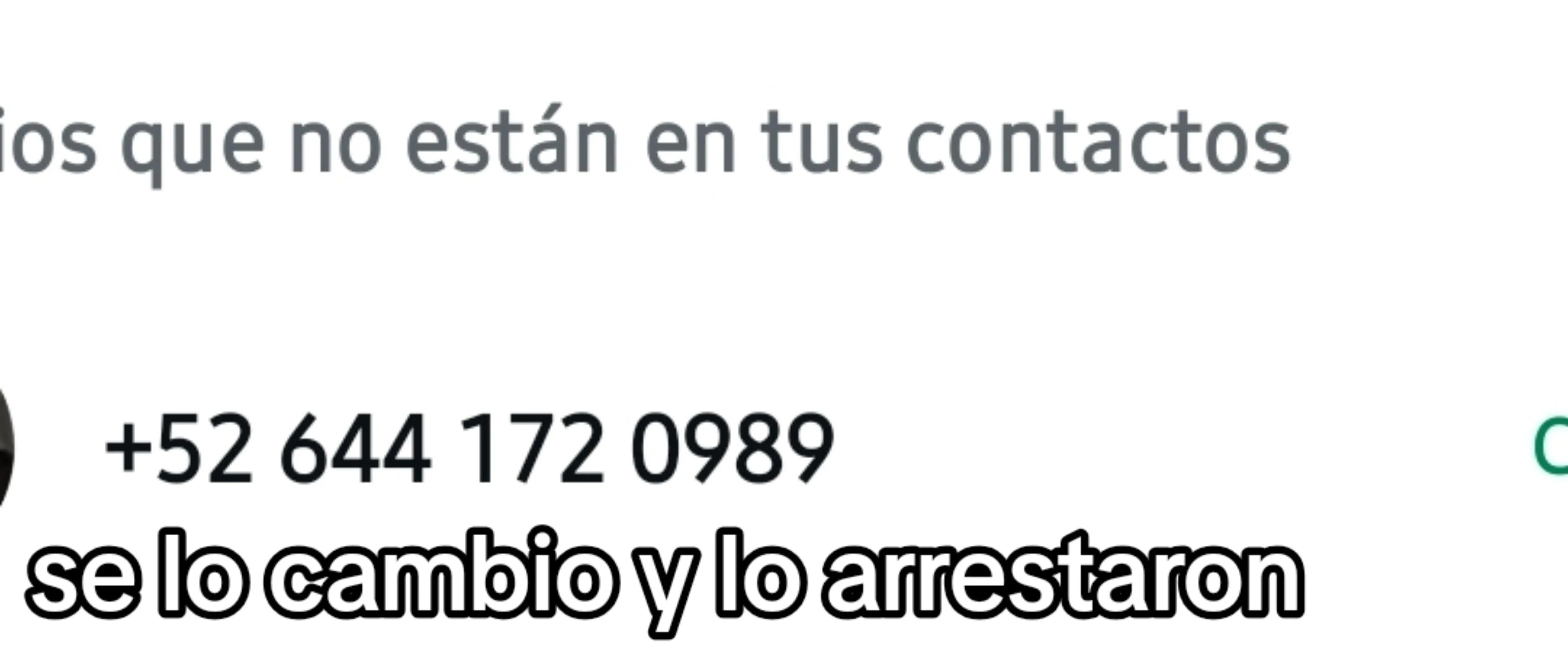 @gustavo