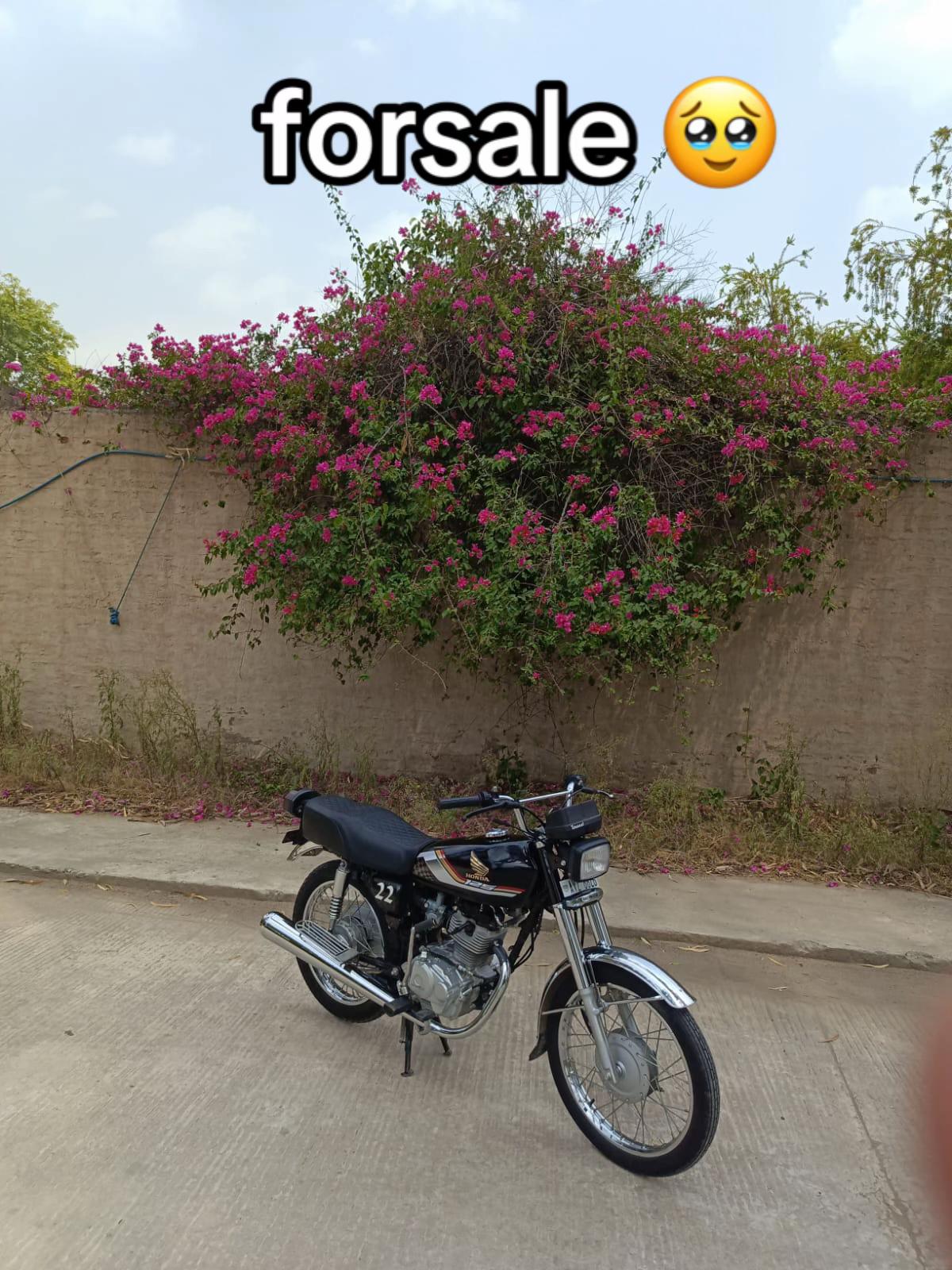 @⚜️معیز⚜️