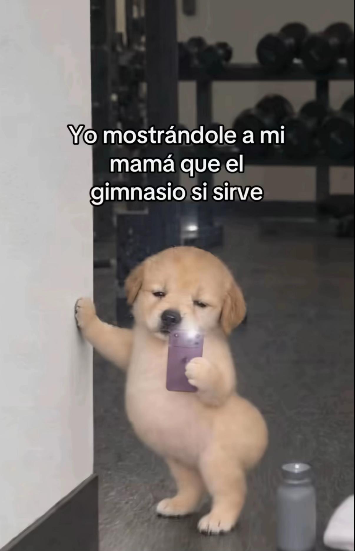 @Itsimenaa_