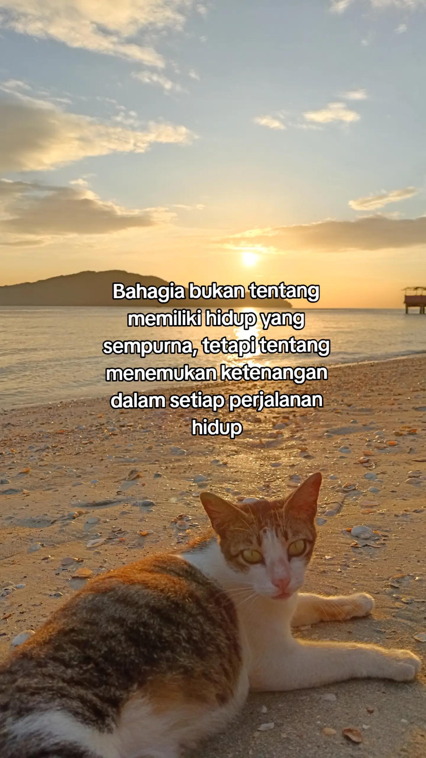 @๐๐ค๐ฅ๐ ๐๐๐ฃ๐๐๐ฃโ
