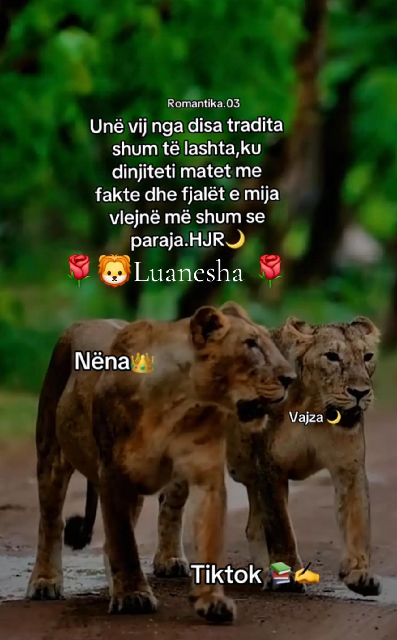 @🌹🦁LuaneshA🌹