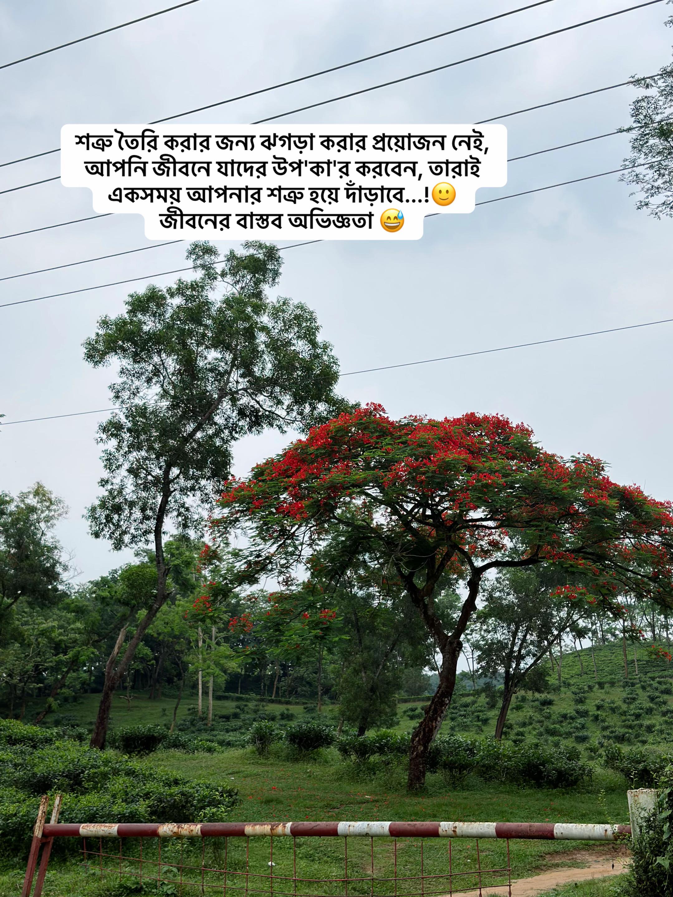 @✨ABDUL AHAD JISAN✨