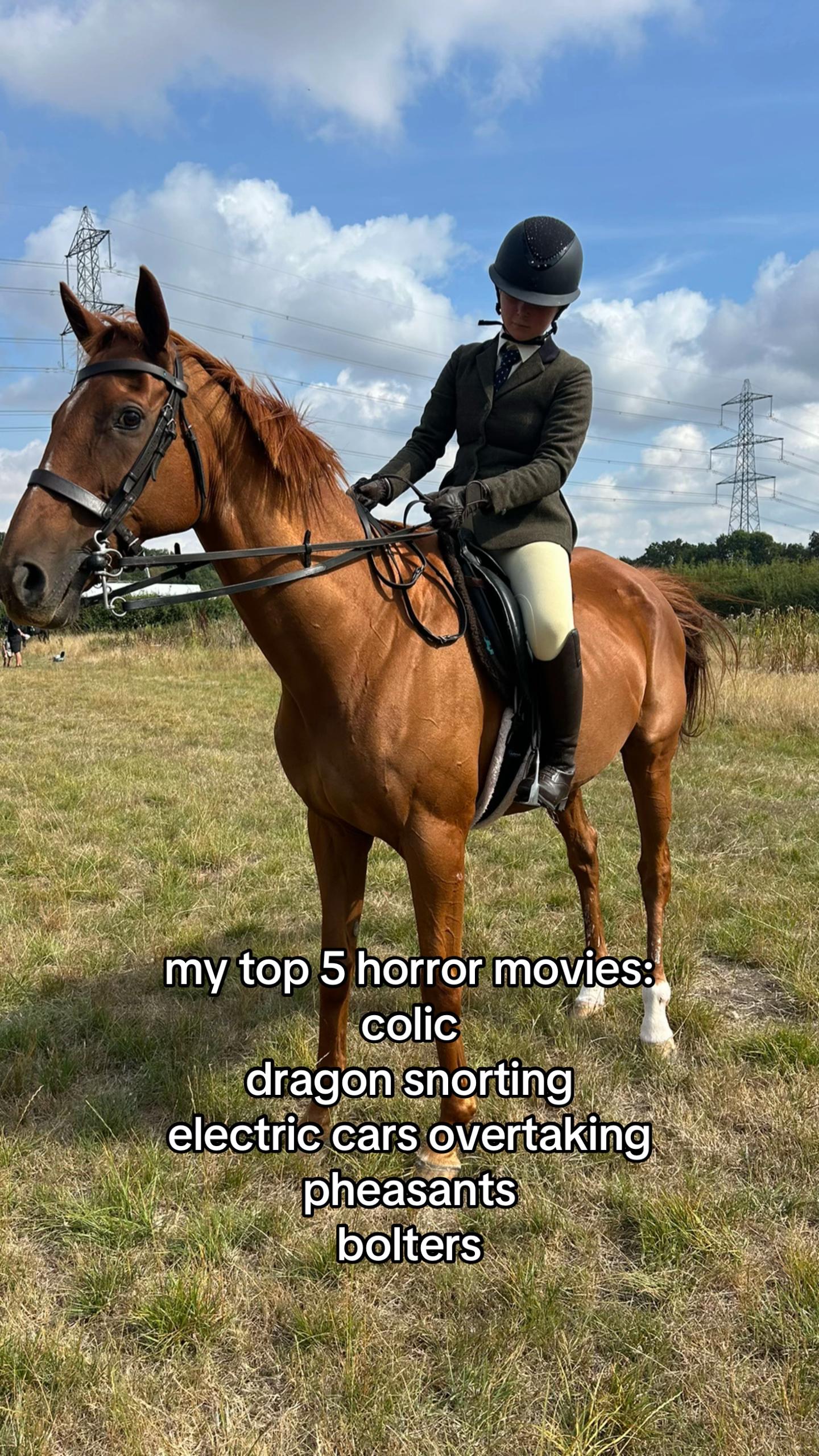 @ell 🌾🐴