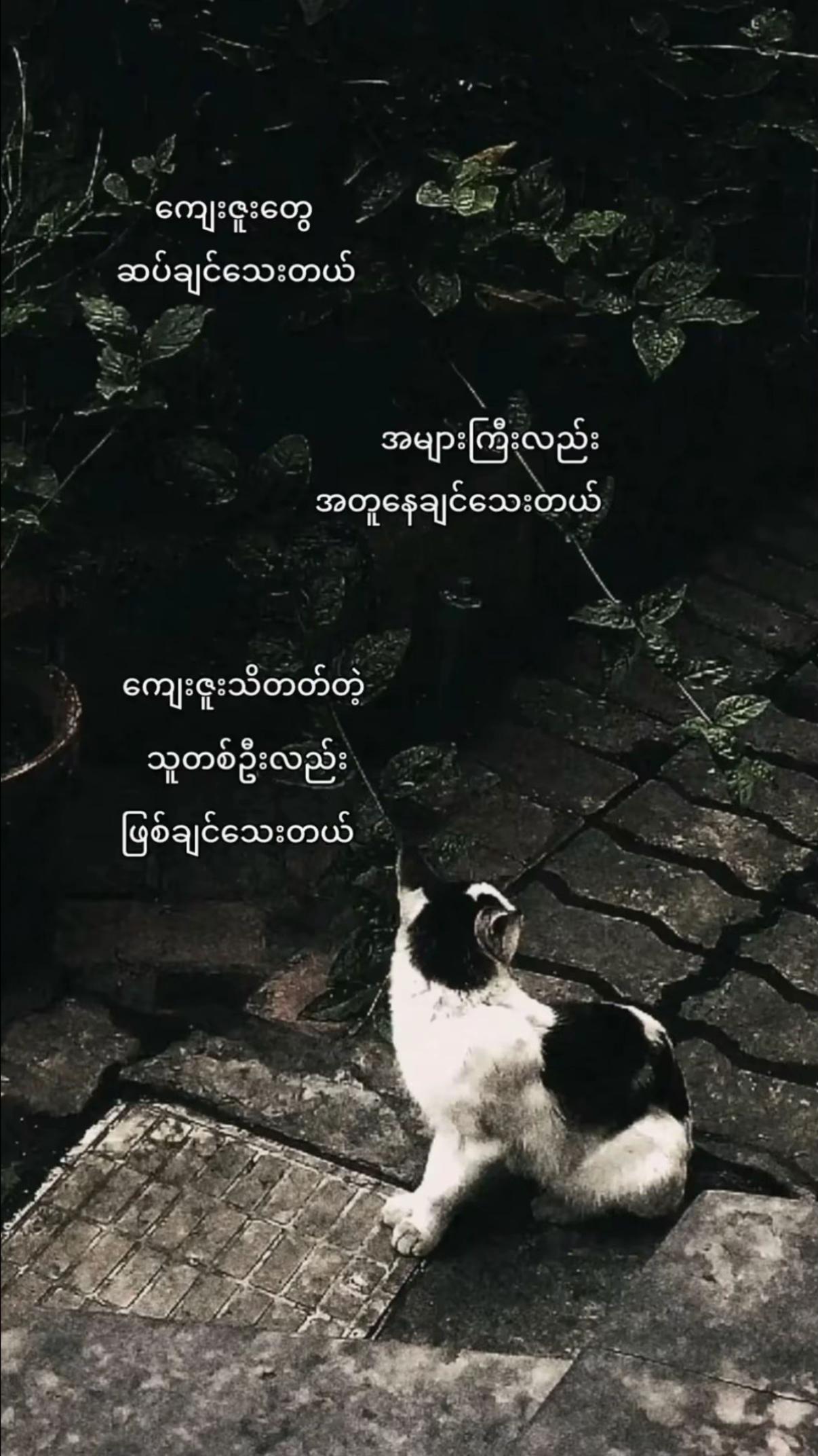 @ThaeThaeð
ð»ð€
