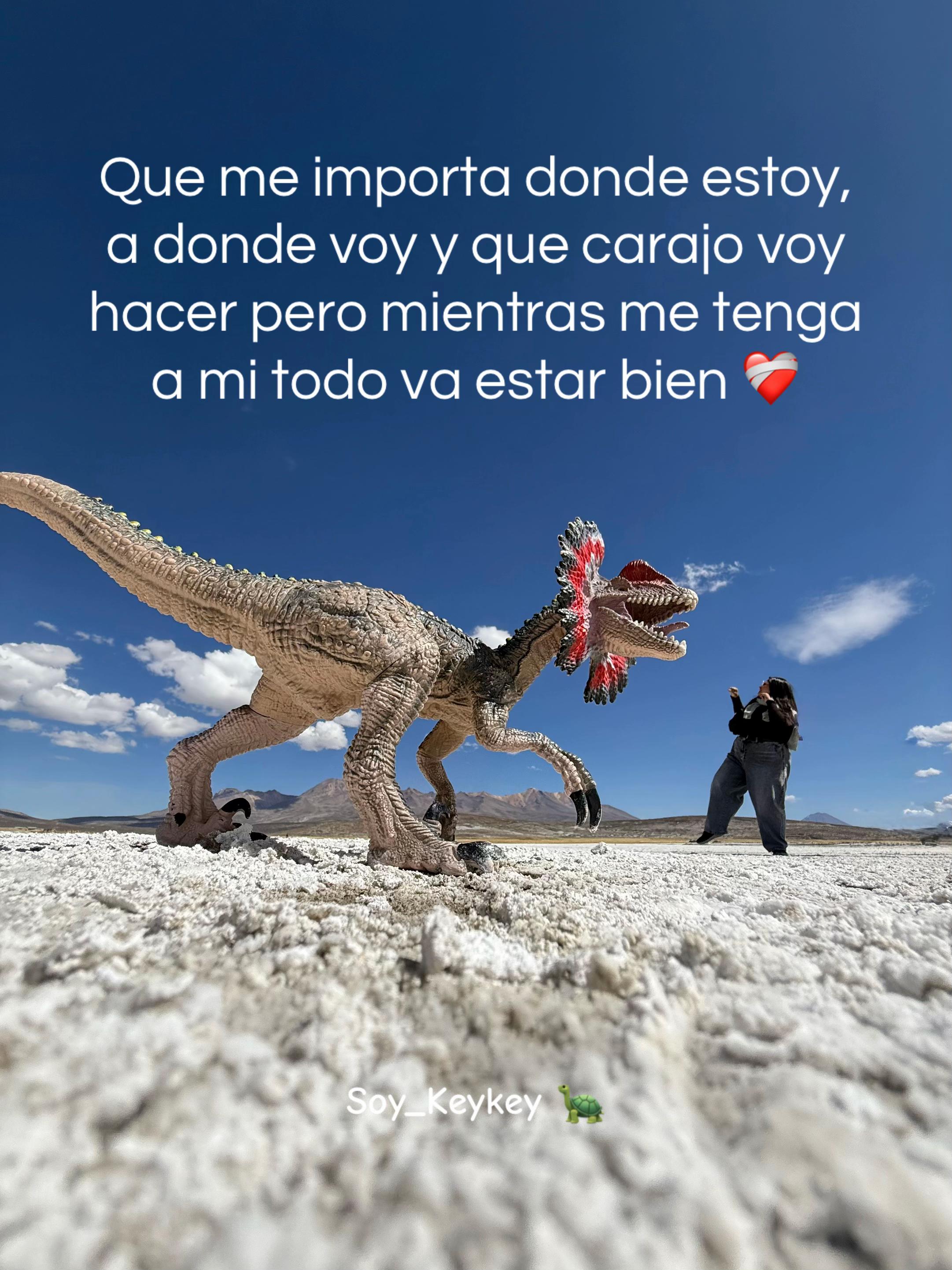 @C4r0 :)) 🐢