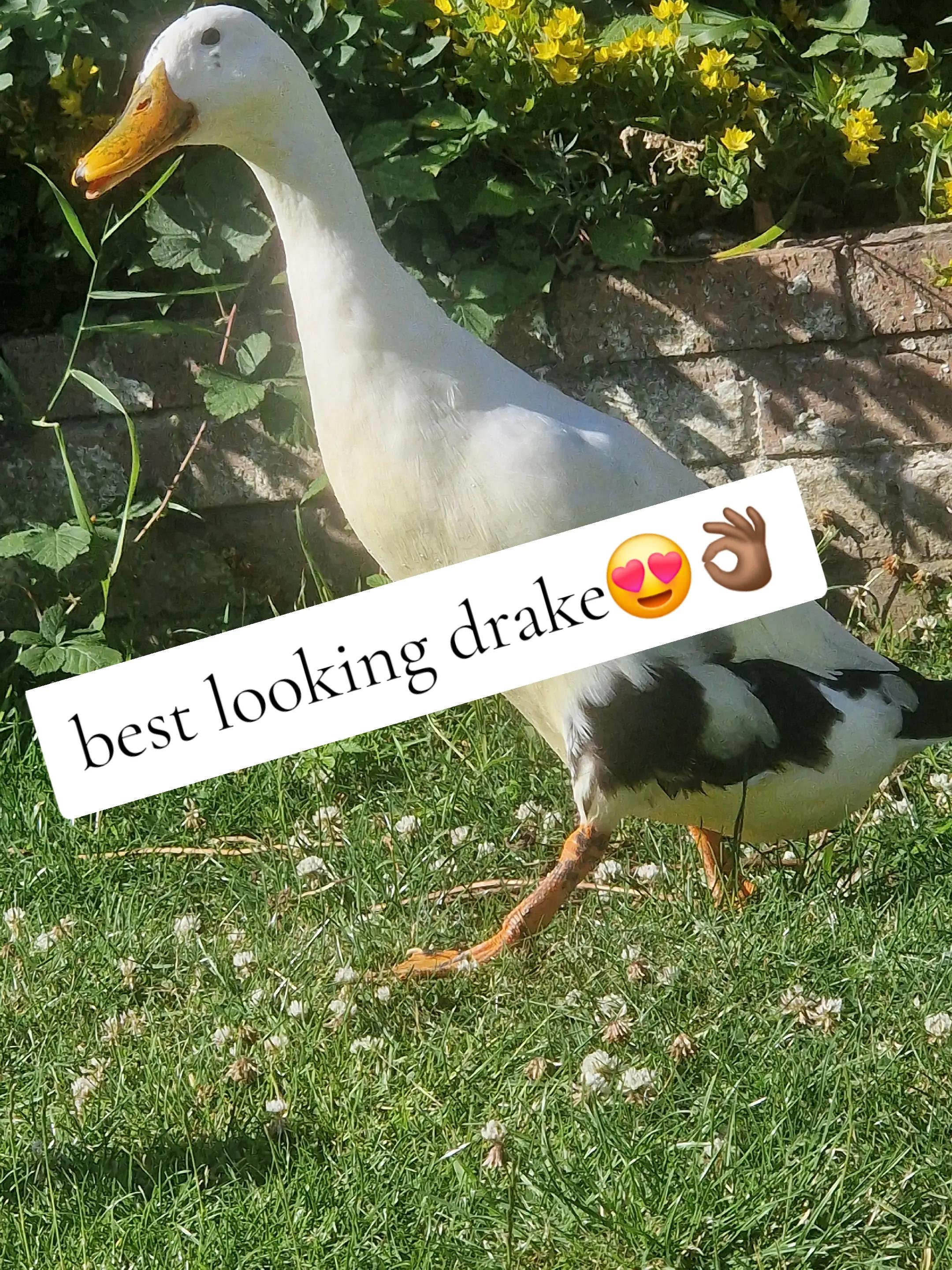 @𝓖𝓜👸🏼✝️