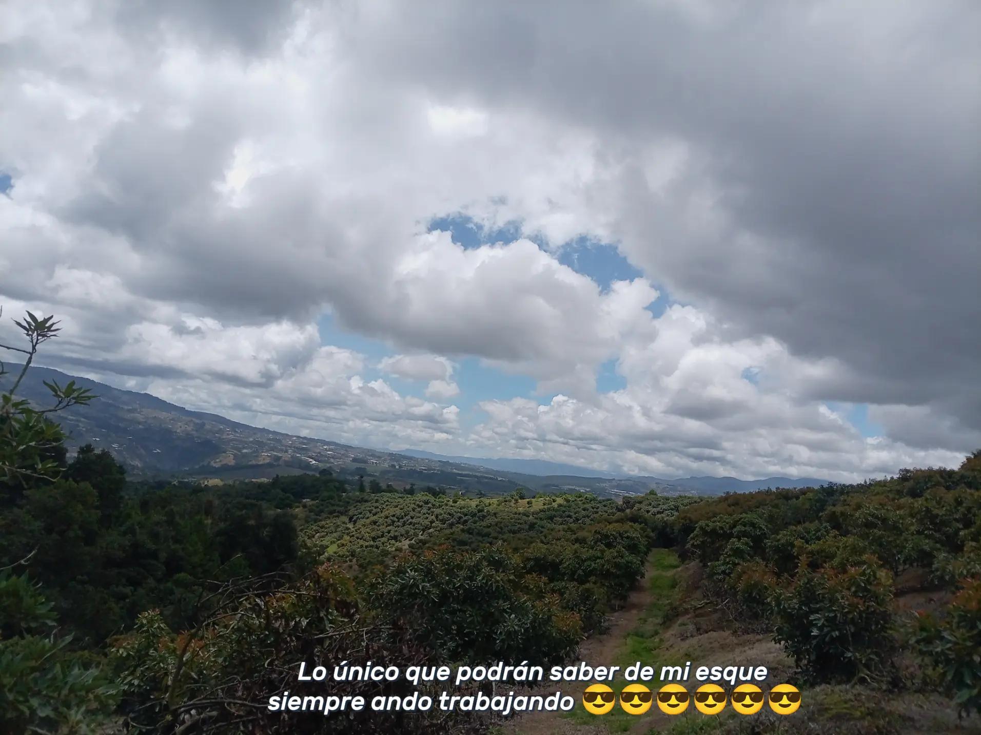 @Samantha Linda P&eacute;rez