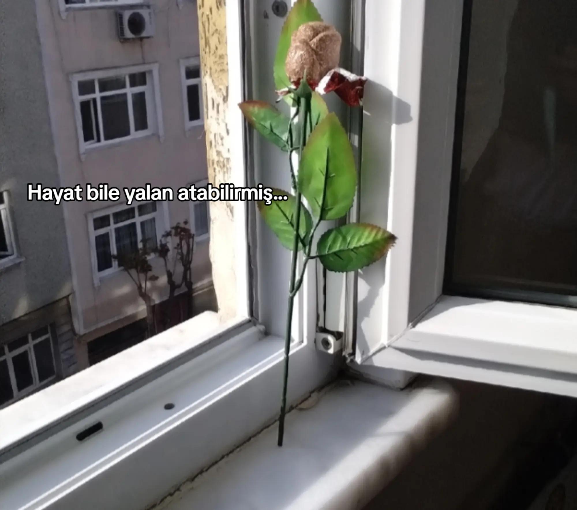 @hacının şalgamı