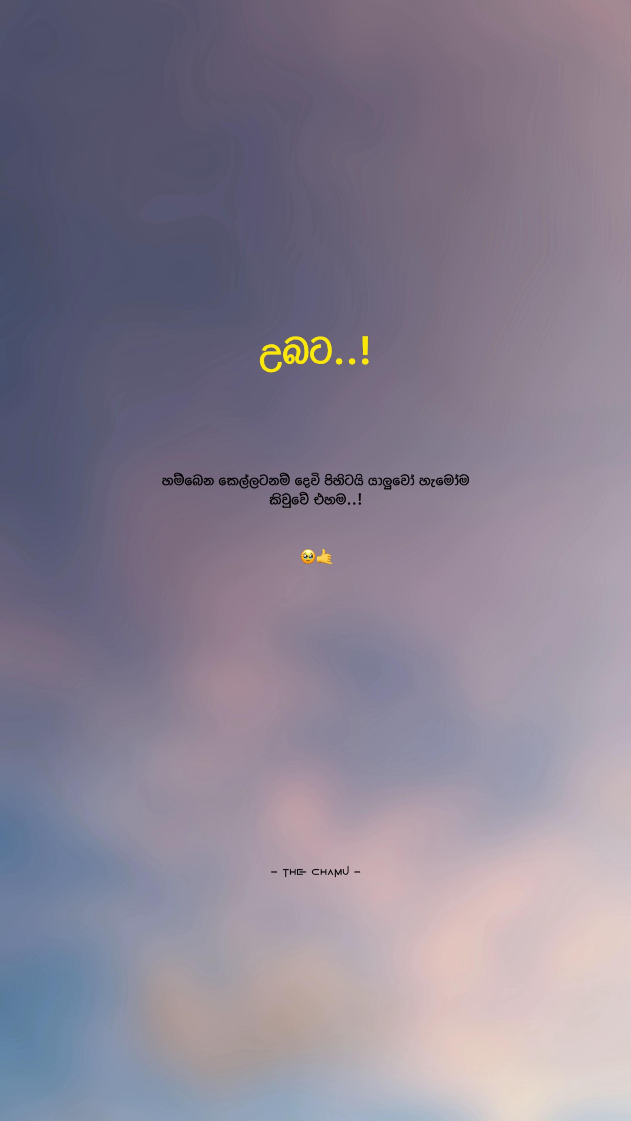 @𝓣𝓱𝓮 𝓒𝓱𝓪𝓶𝓾 ☁️