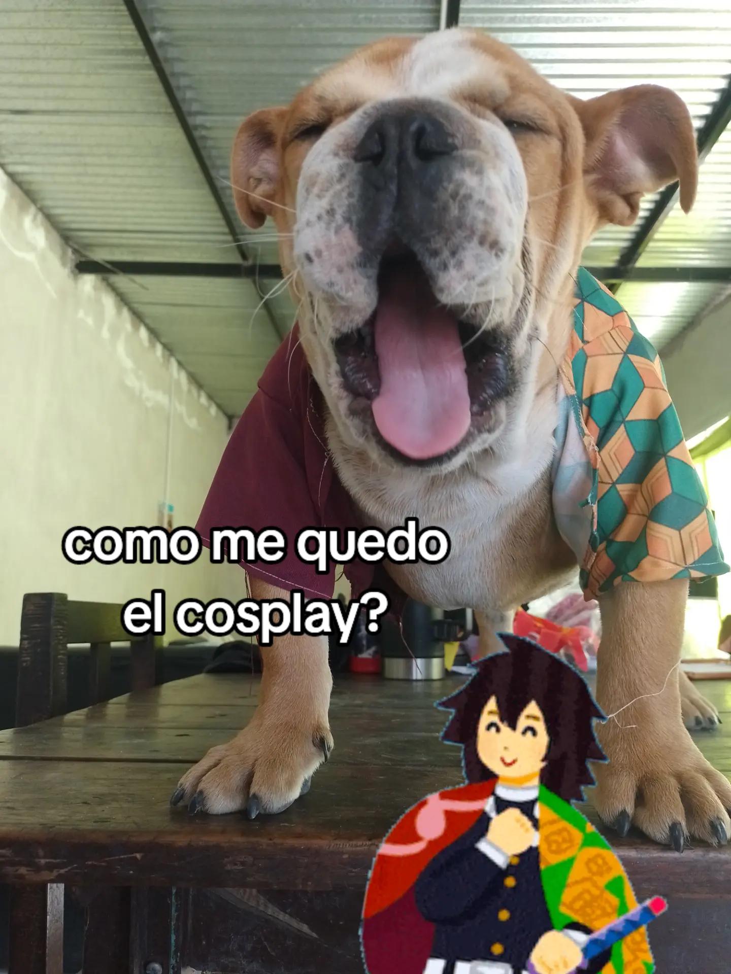 @femwolf_u