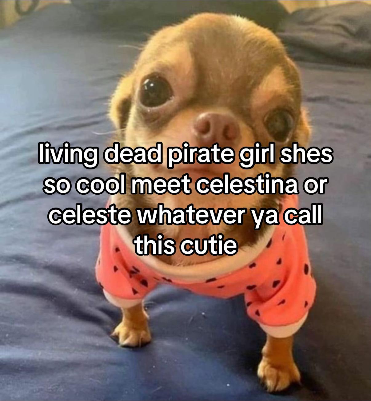 @nyx