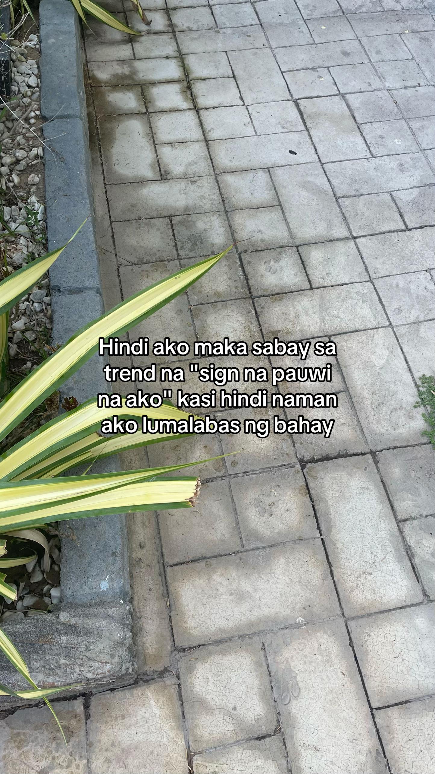 @Shaii_