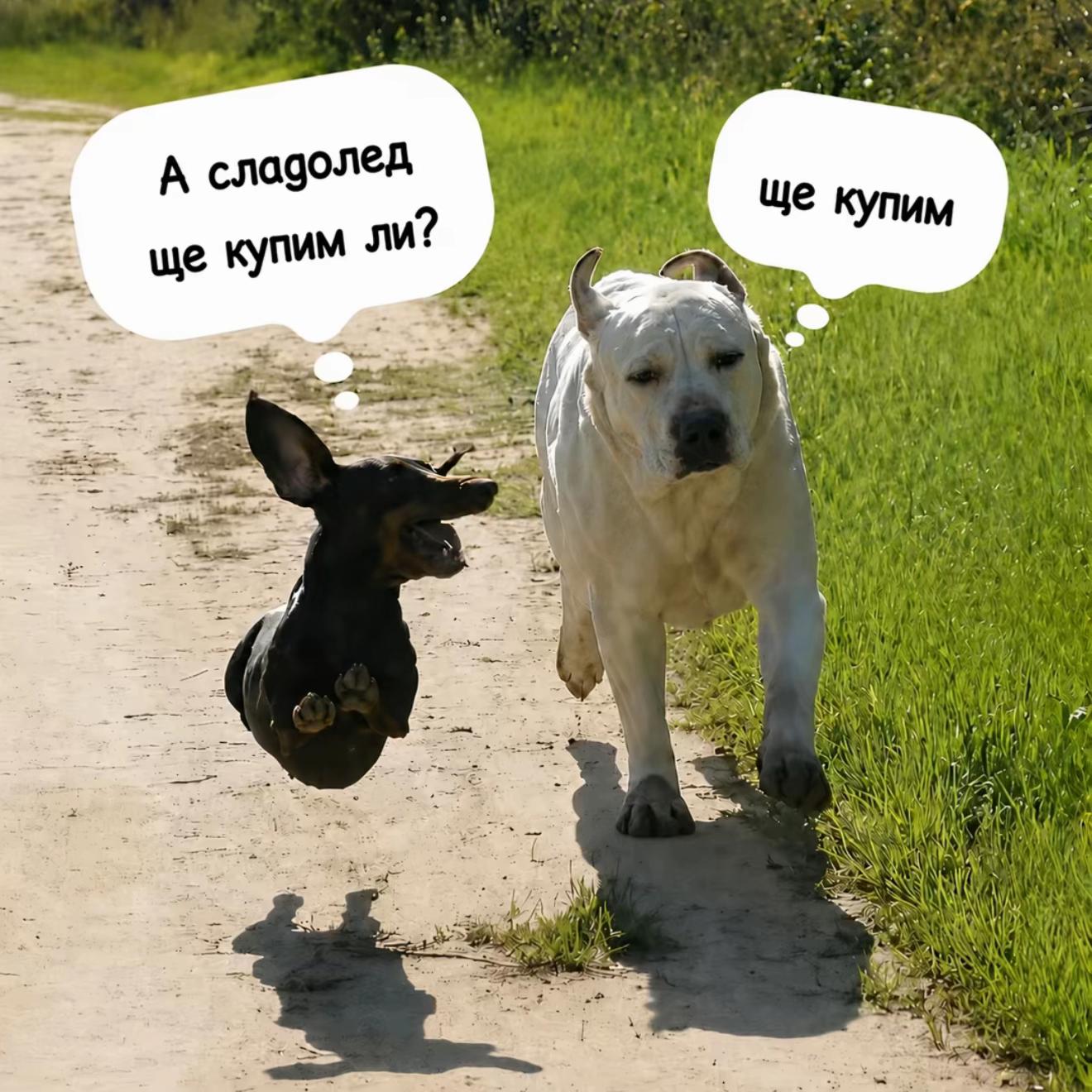 @Нанси🤪😗