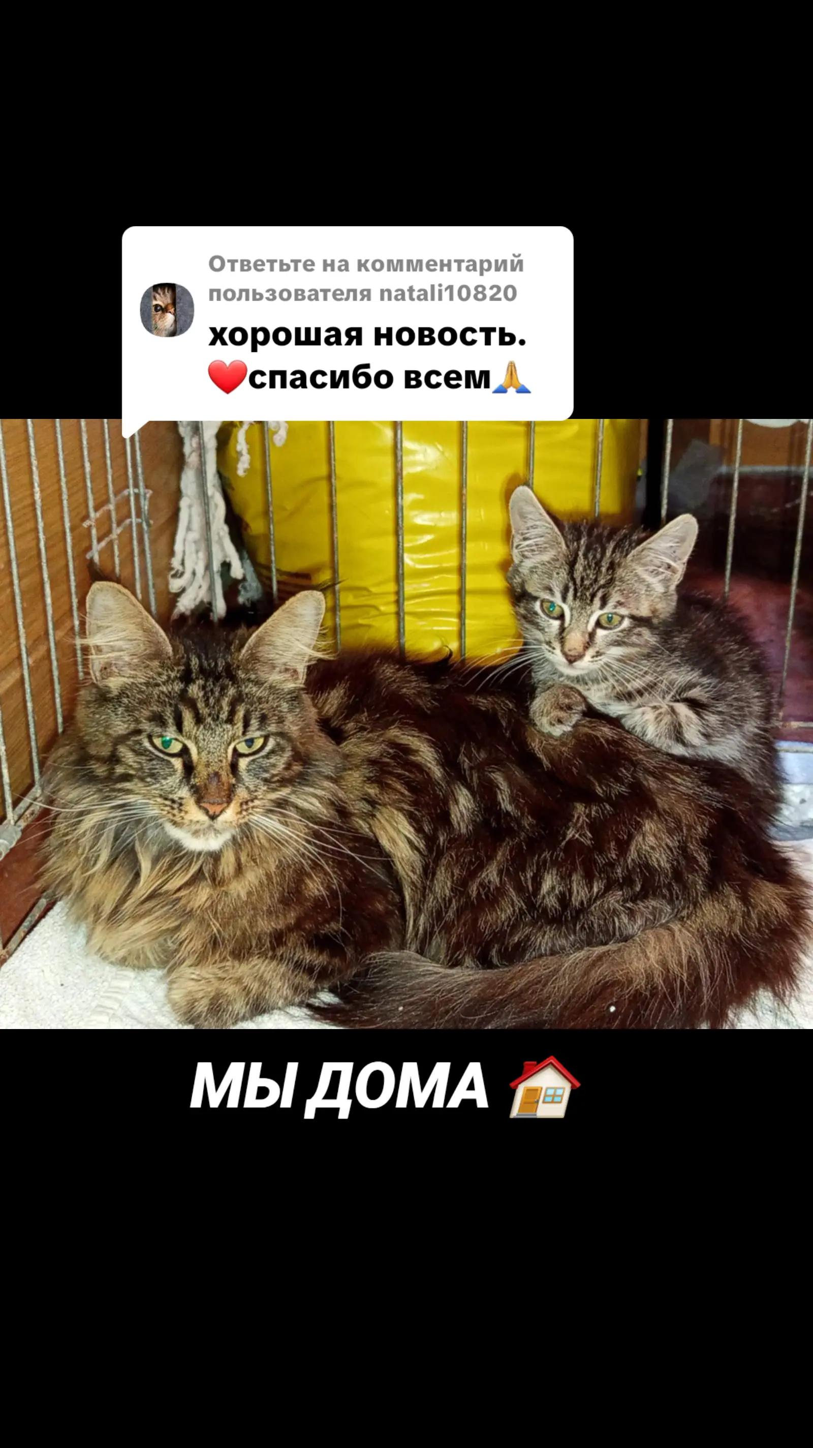 @marinka20_09