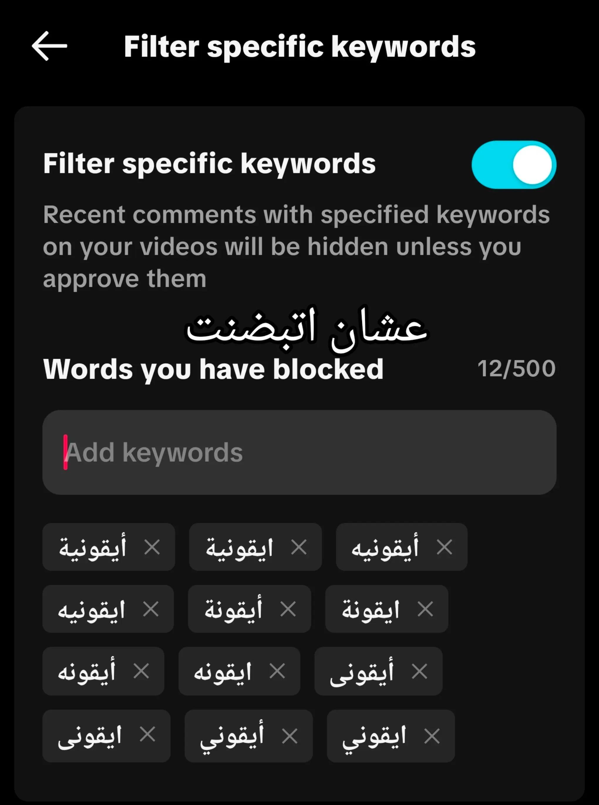 @يوشيدا هاشيموتو よしだ はしもと