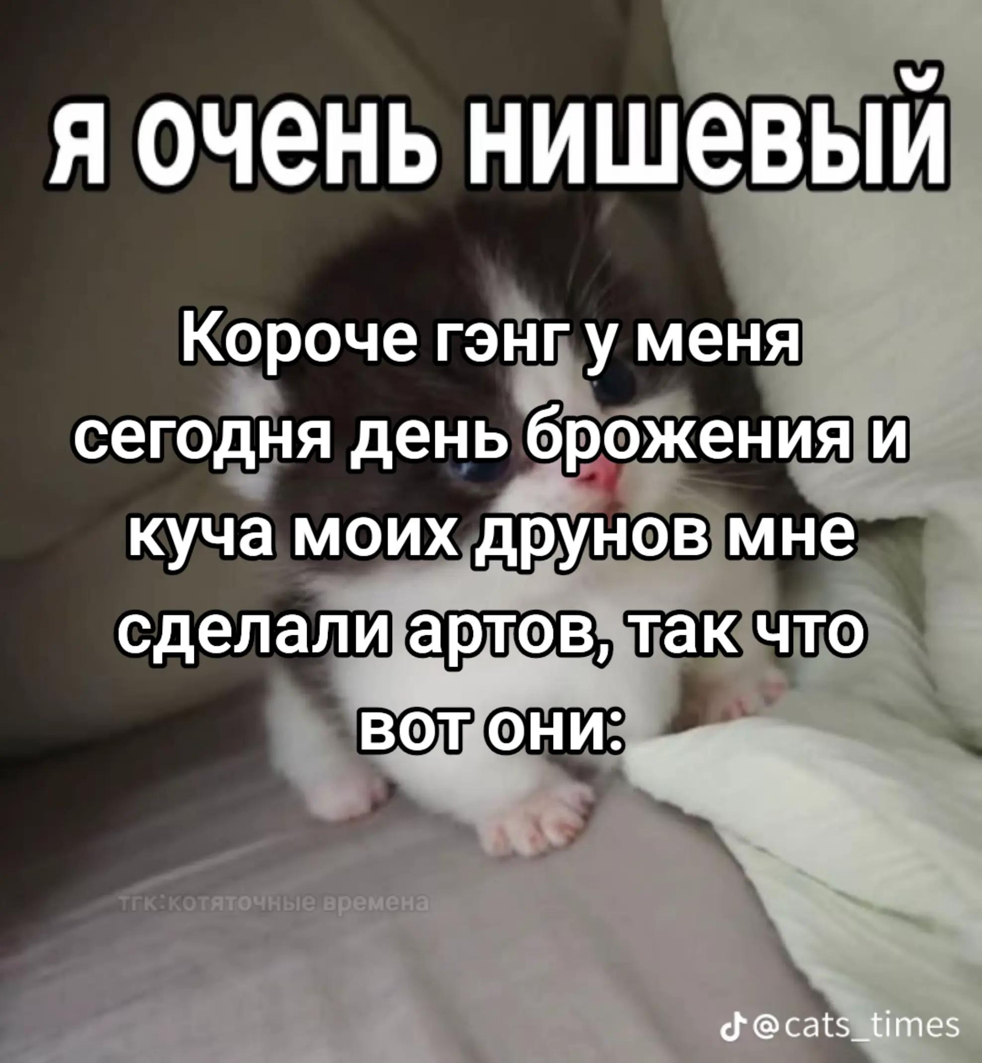 @Не наш слоняра 2