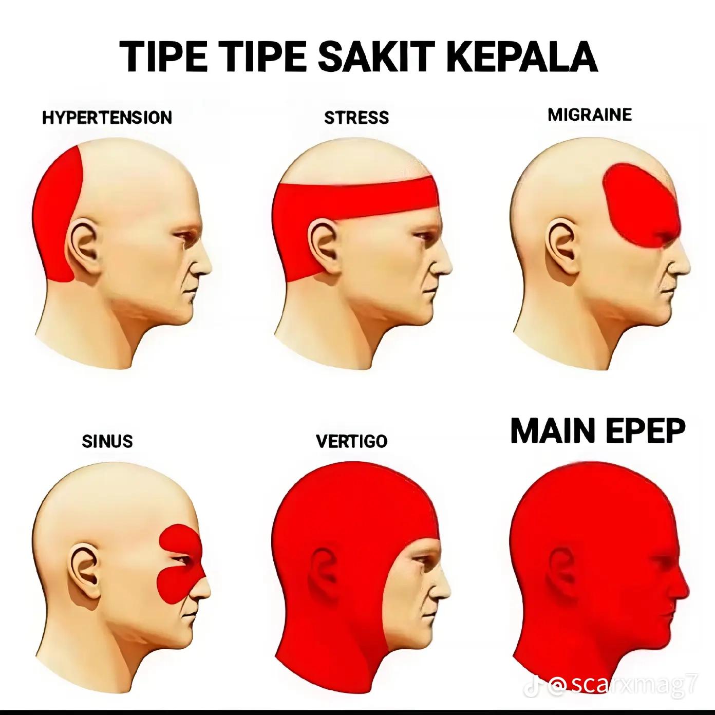 @🤓☝️