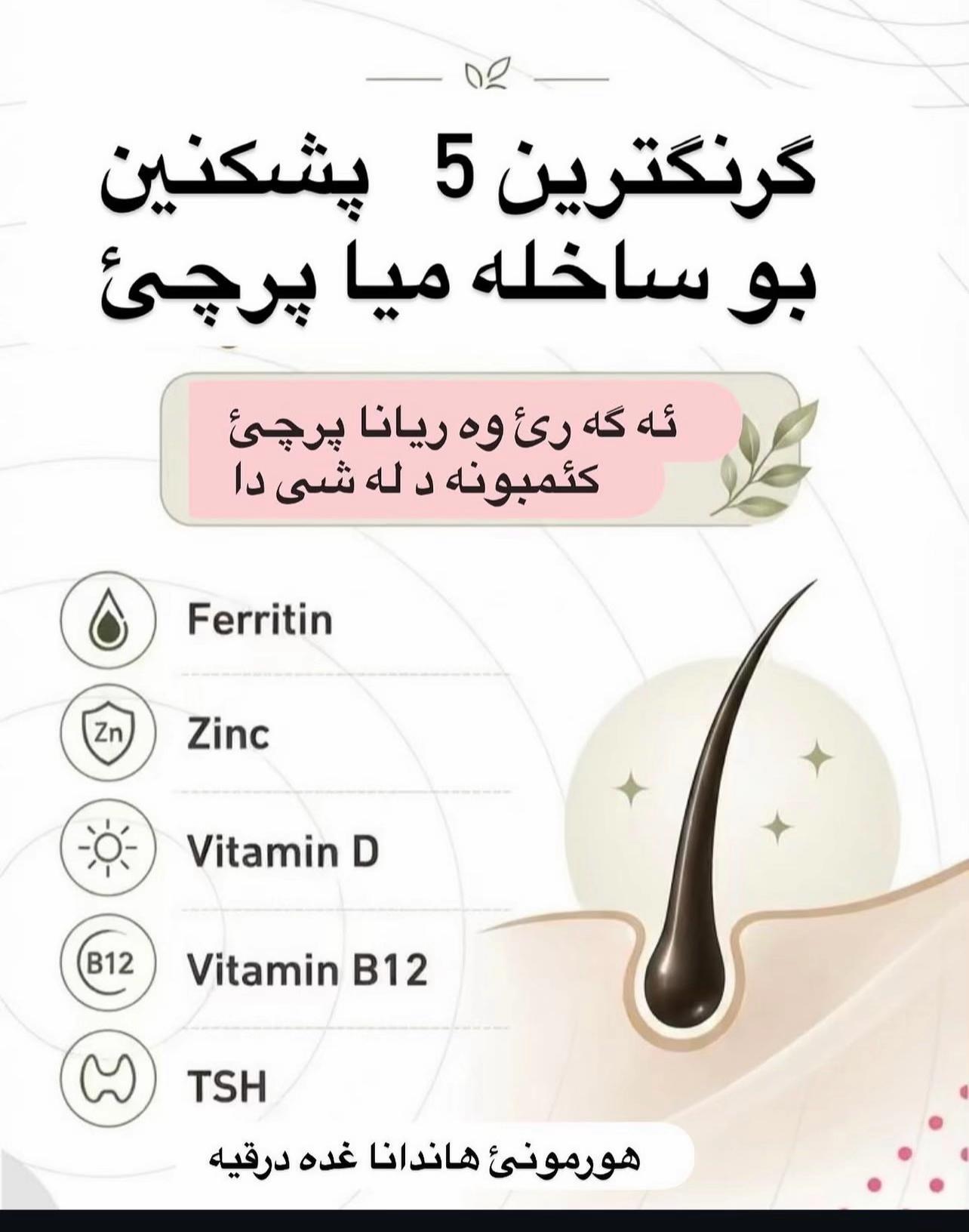 @Dr. Hana AL_kurdi