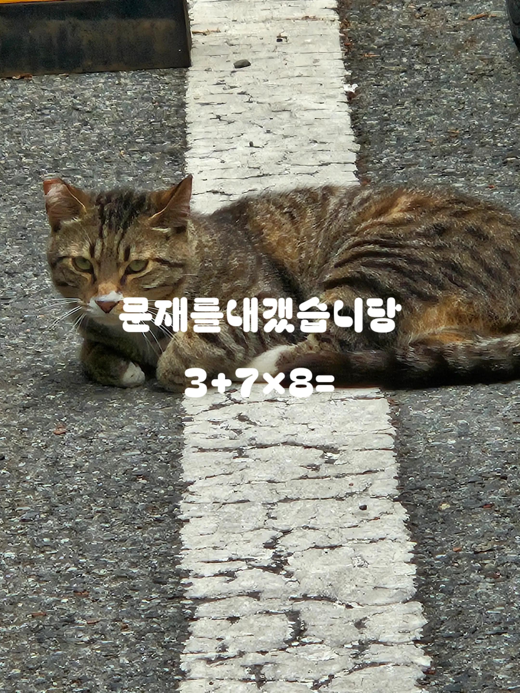 @태권소녀