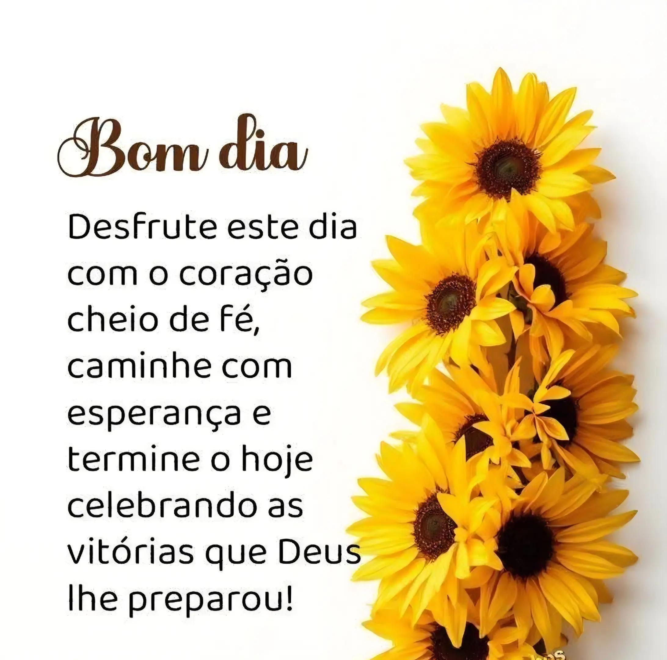 @Luciana Santos Chaga