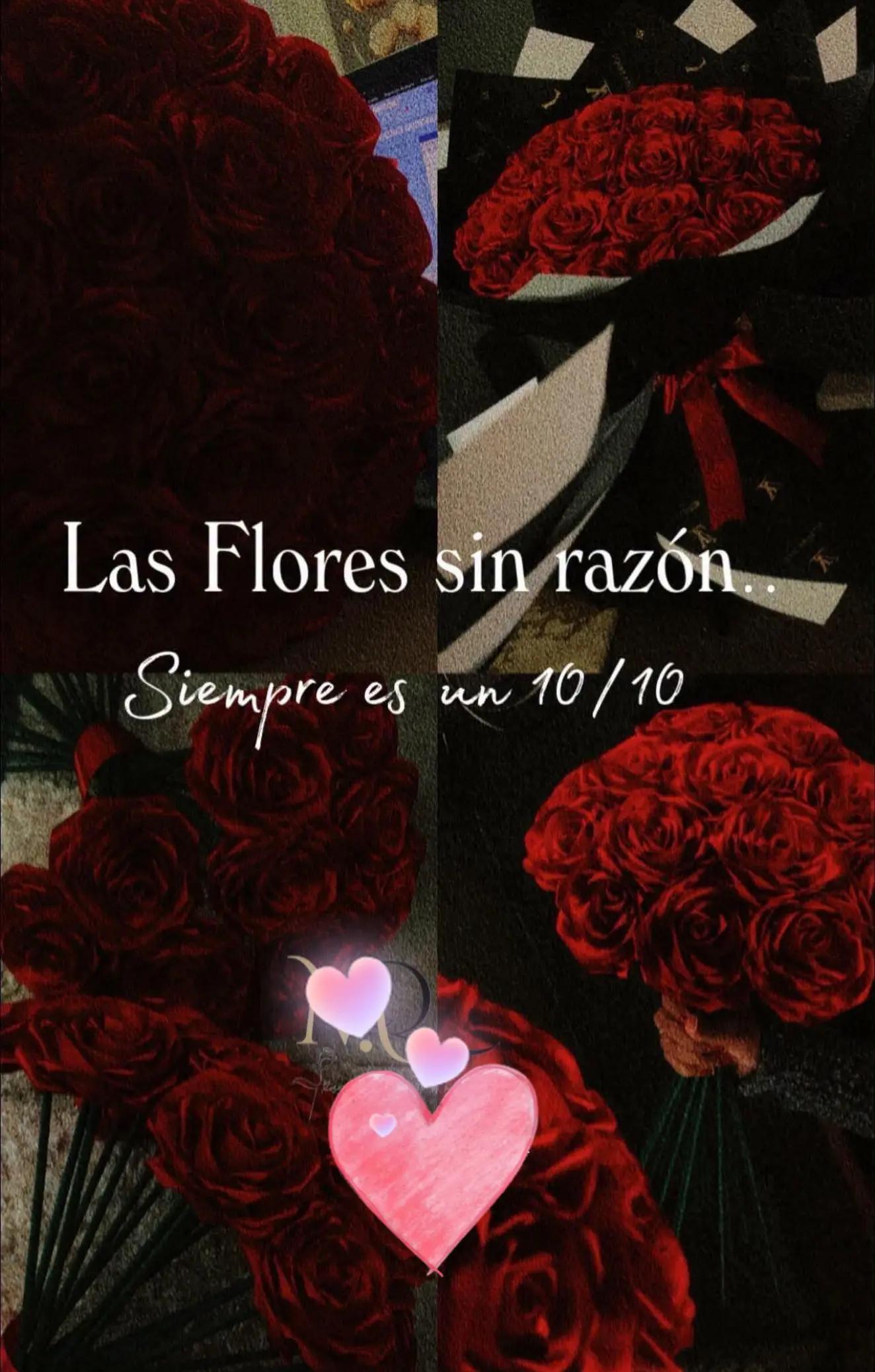 @Maricela Sanchez Flores