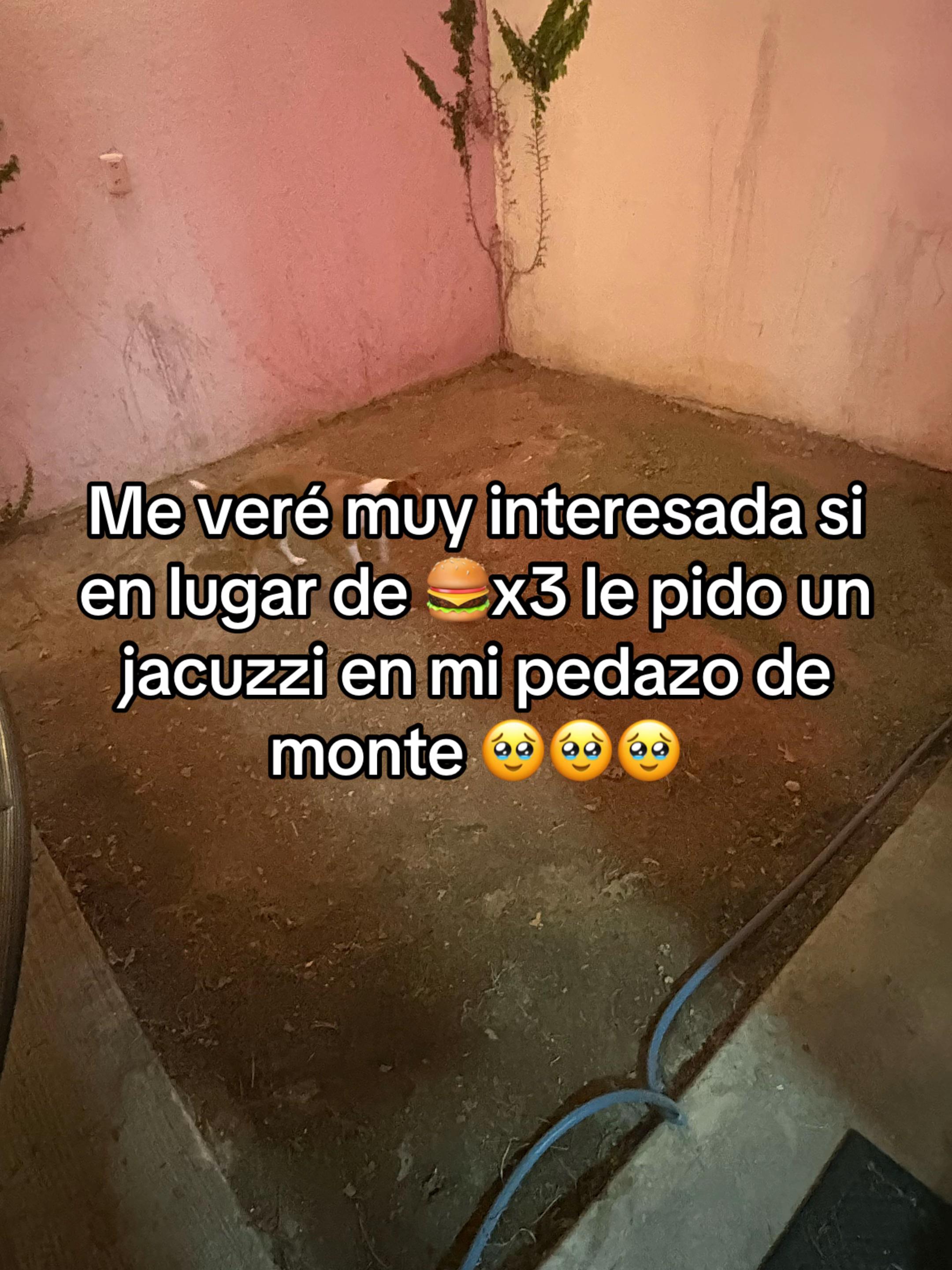 @Luz 🩵