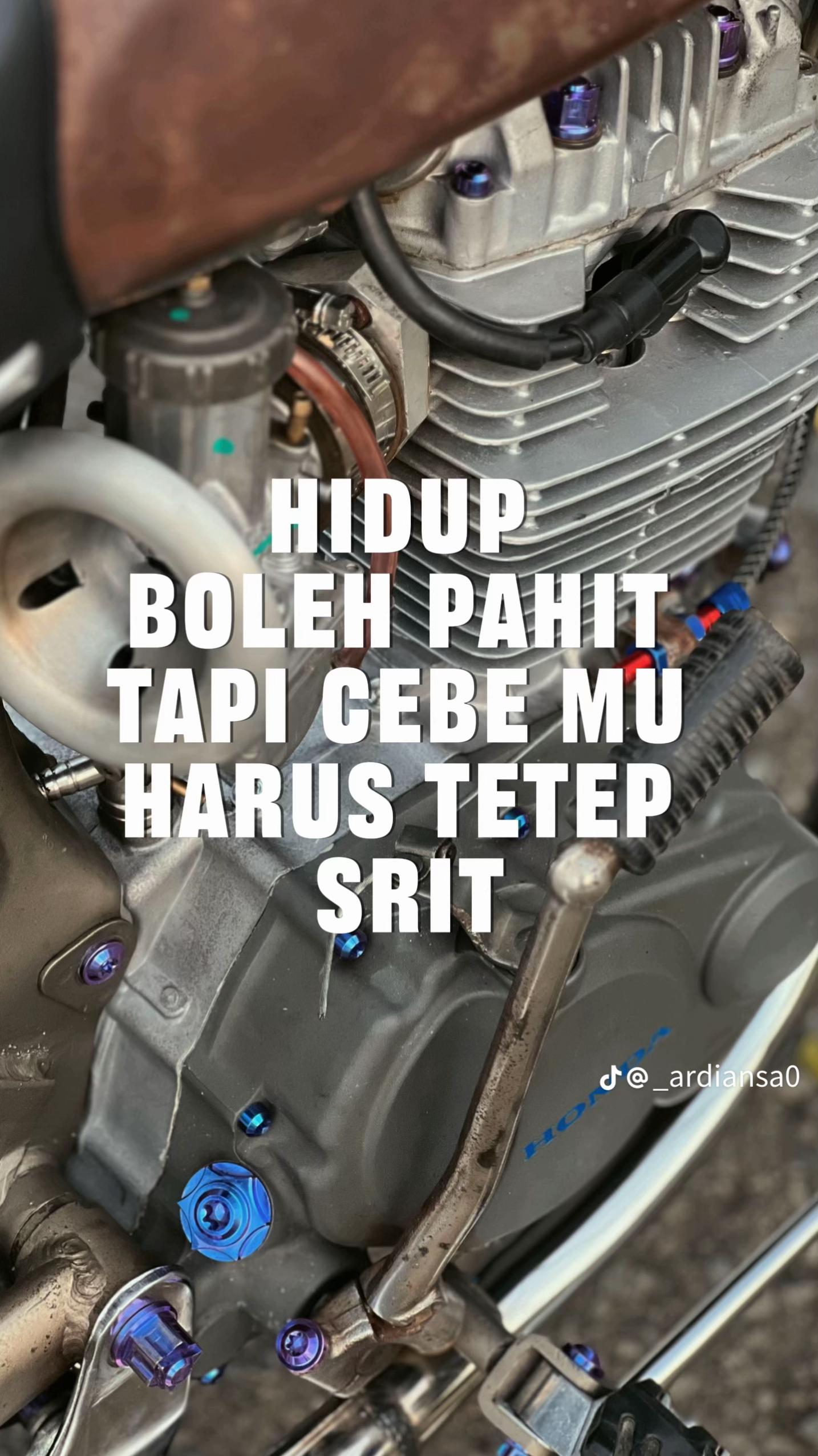@Ari Gendon