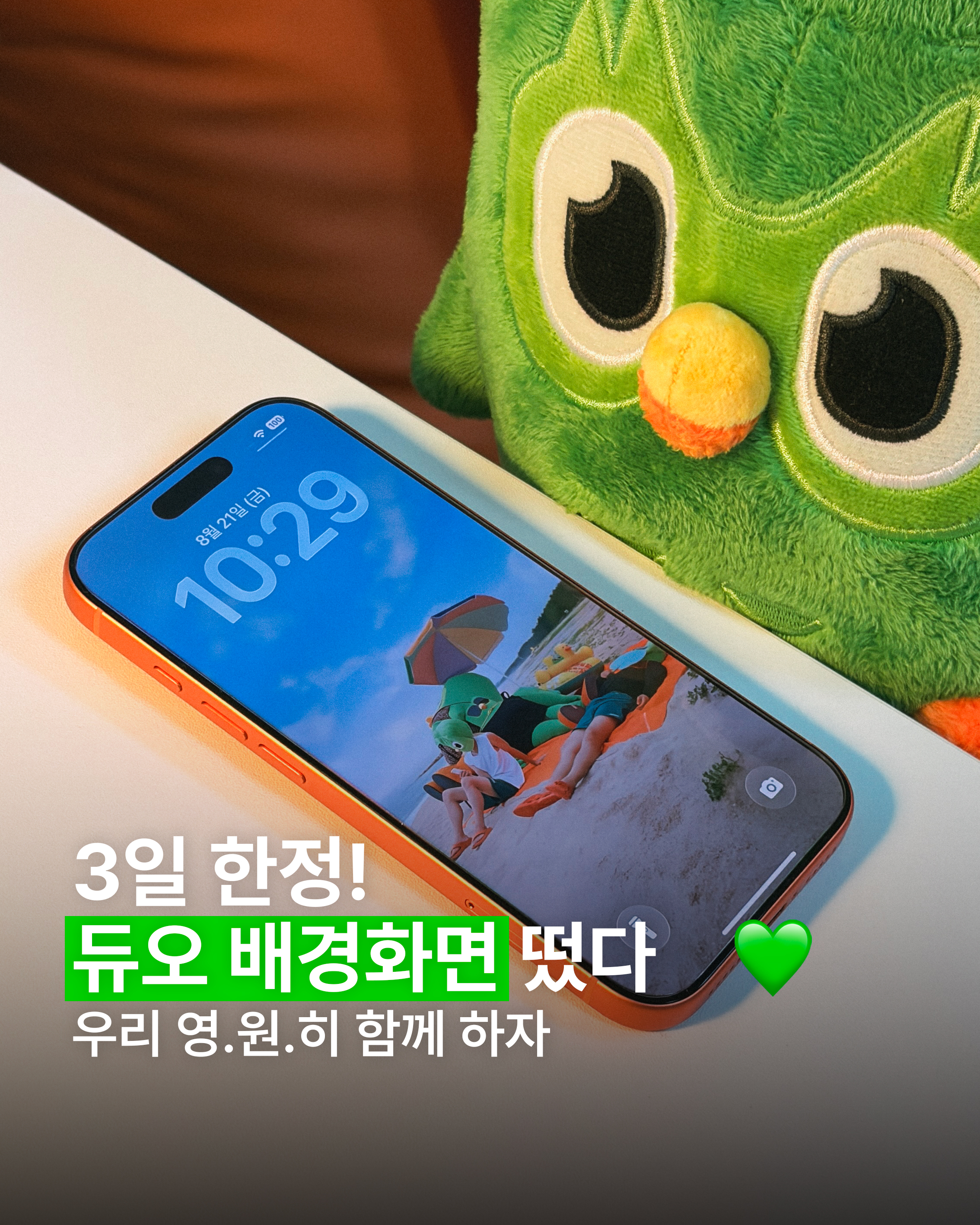 @duolingokorea