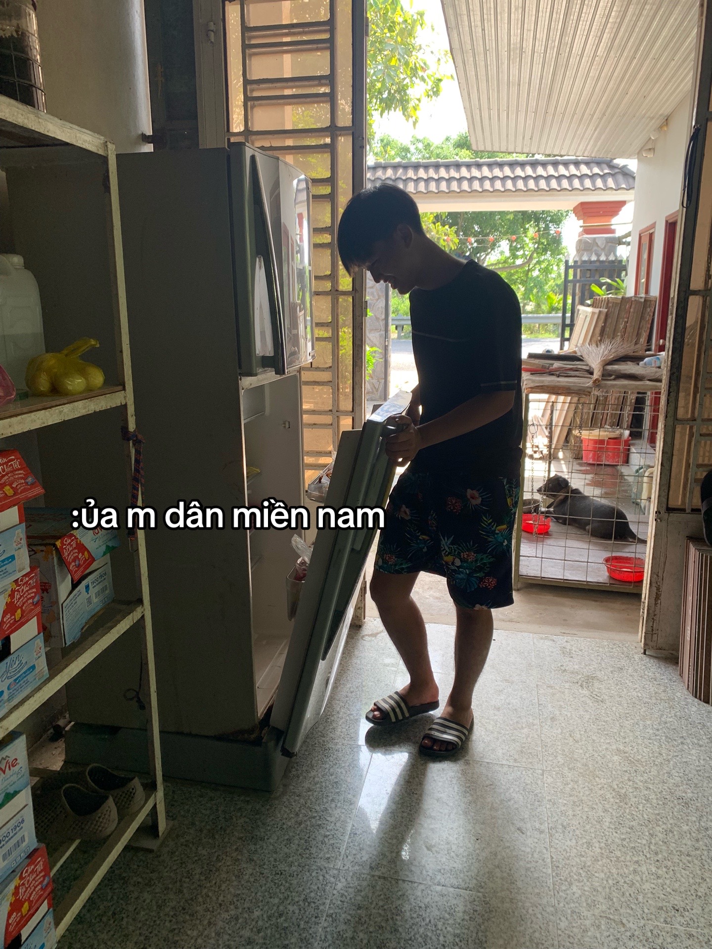@Cao Triết