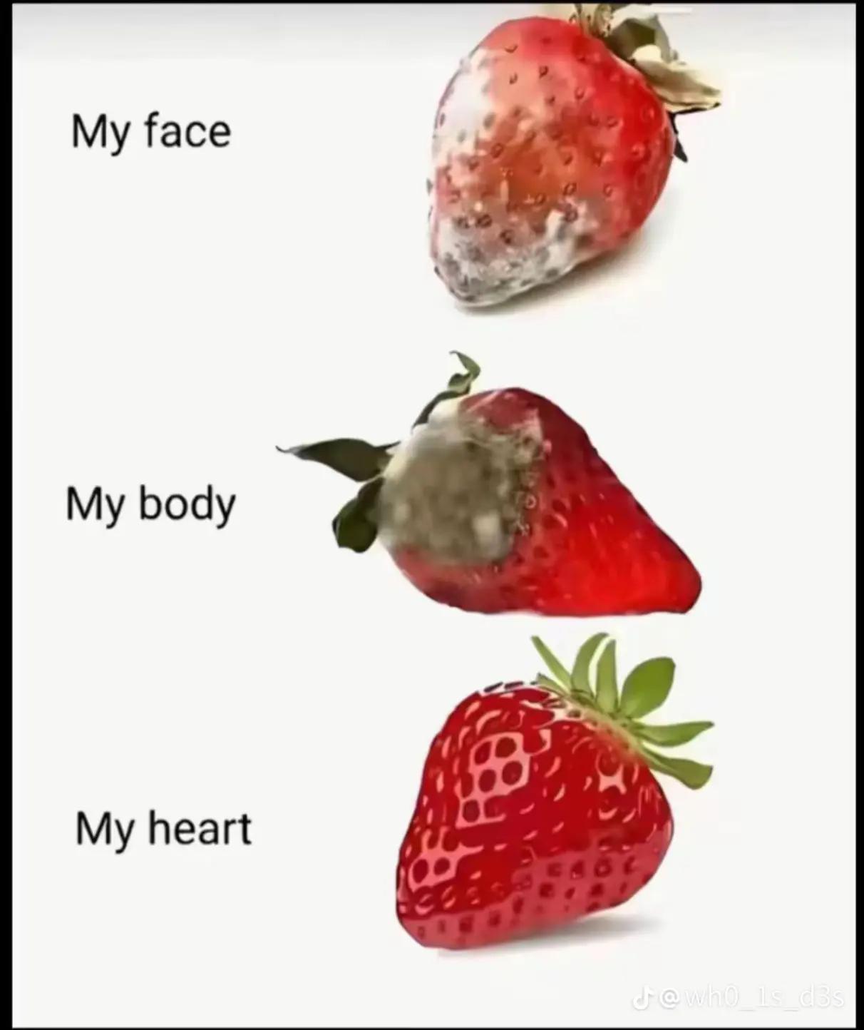 @๐๐Æ๐_๐๐๐๐๐๐โ