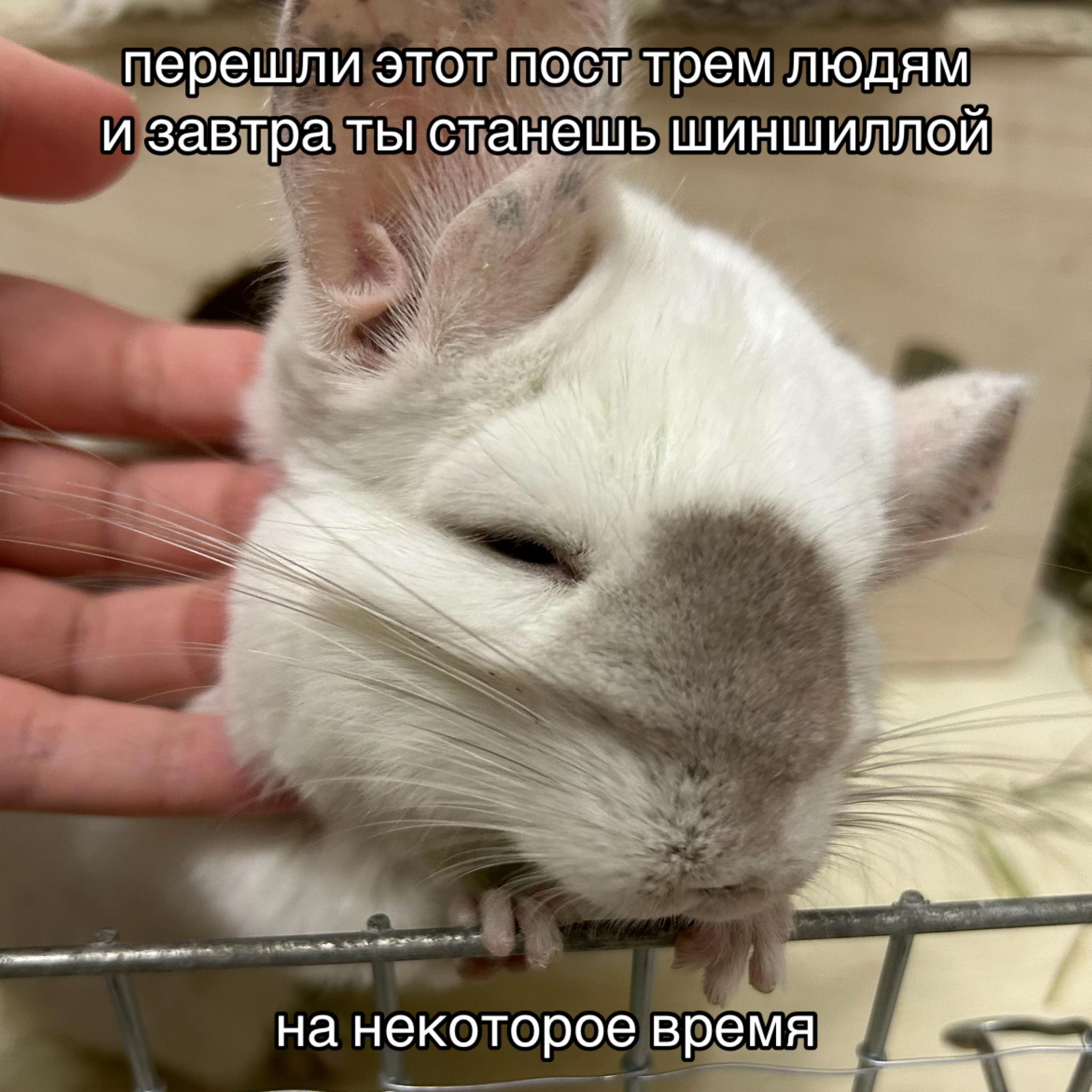 @Лулу
