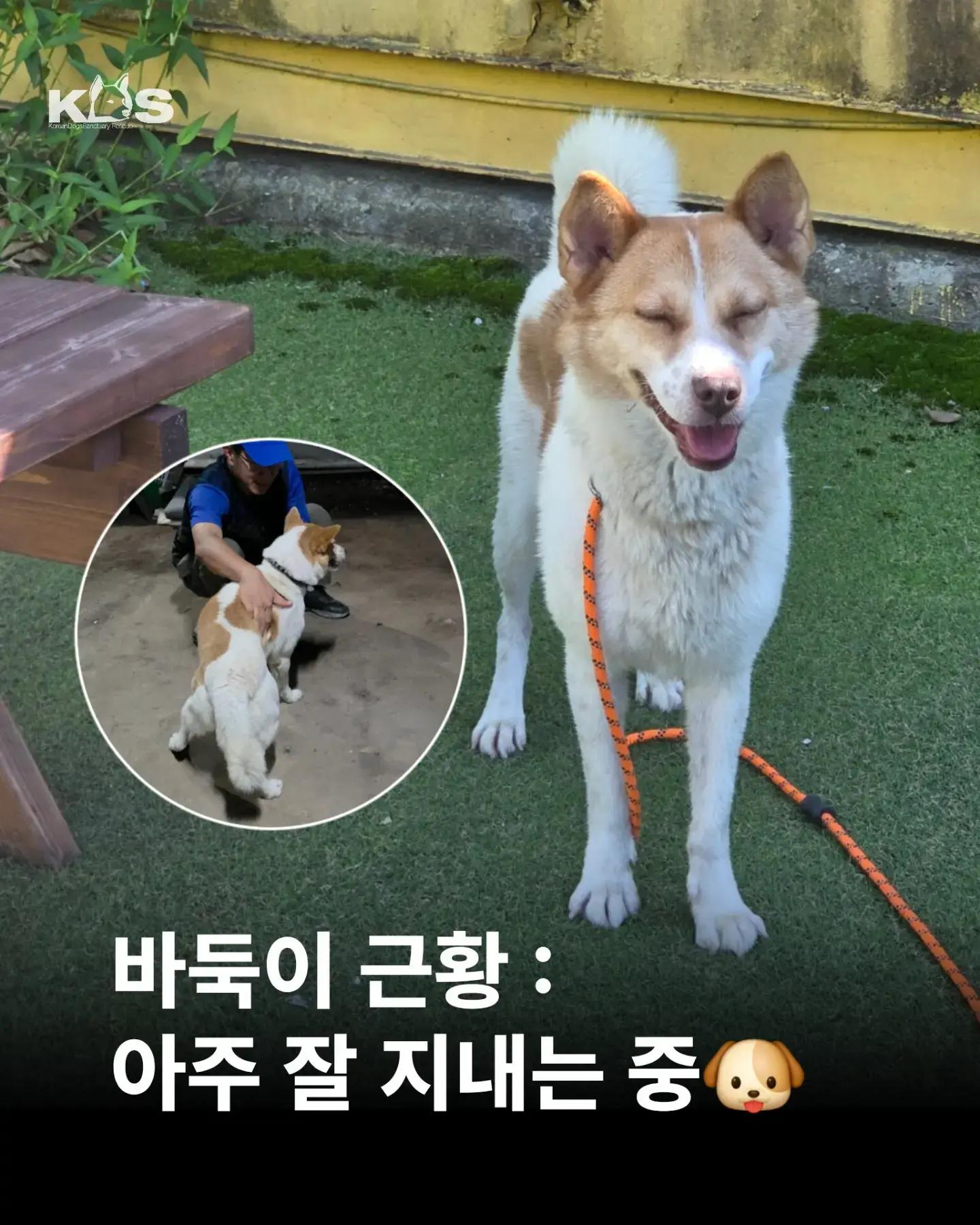 @🐶🐶엄지맘🐕&zwj;🦺🦮🐩
