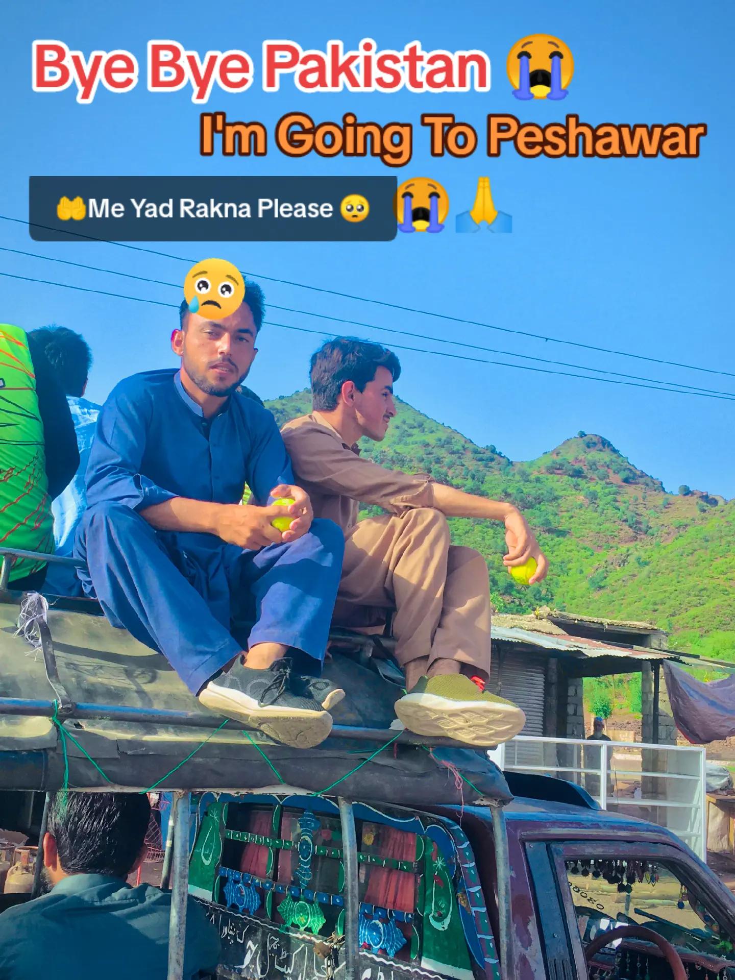 @Viki Afridi✌️804🫣💞