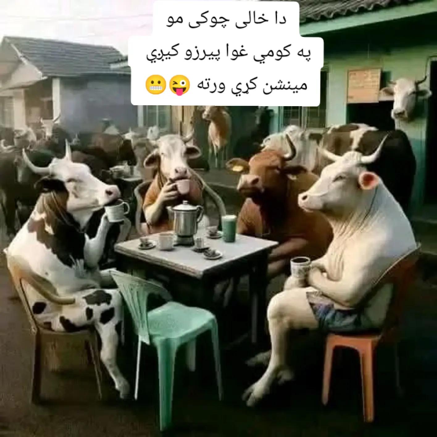 @😉_👻_حاجي_زوي_👻_😉