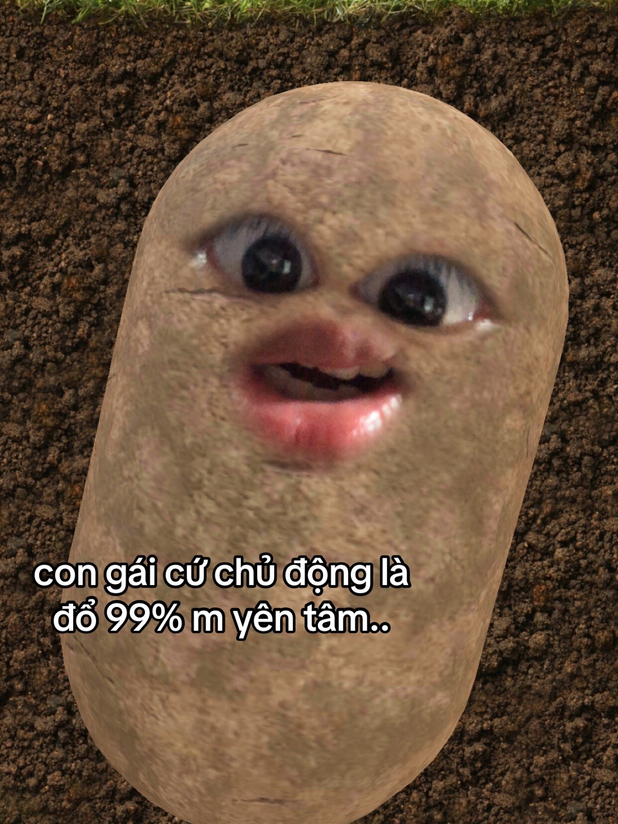 @ywwwwwwn